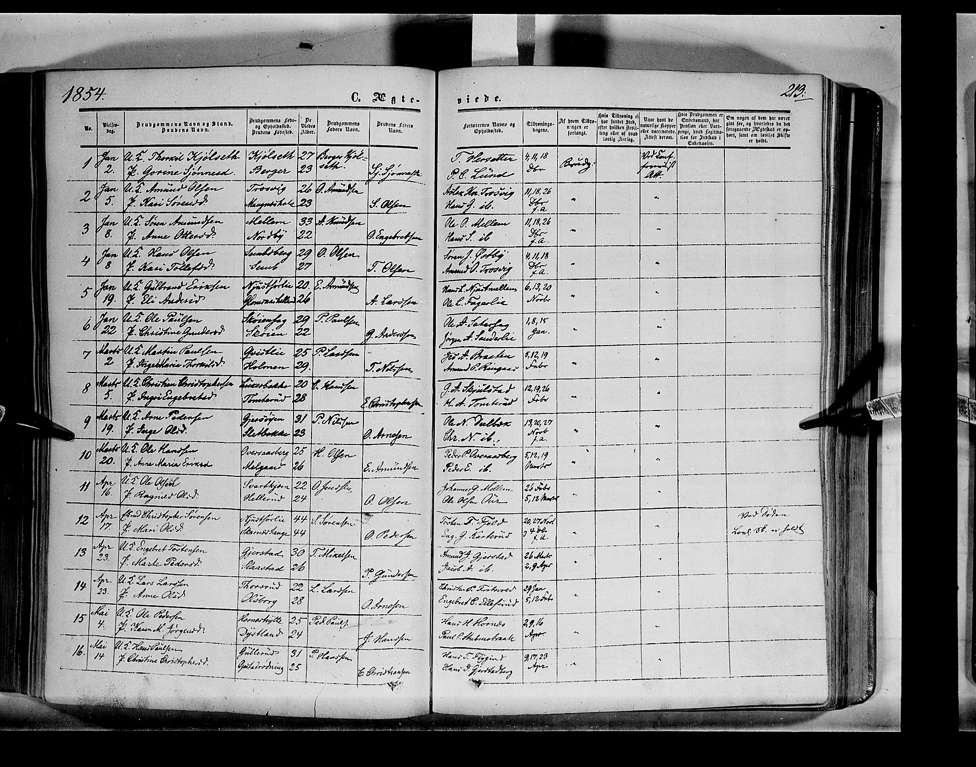 Sør-Odal prestekontor, AV/SAH-PREST-030/H/Ha/Haa/L0001: Parish register (official) no. 1, 1849-1859, p. 213