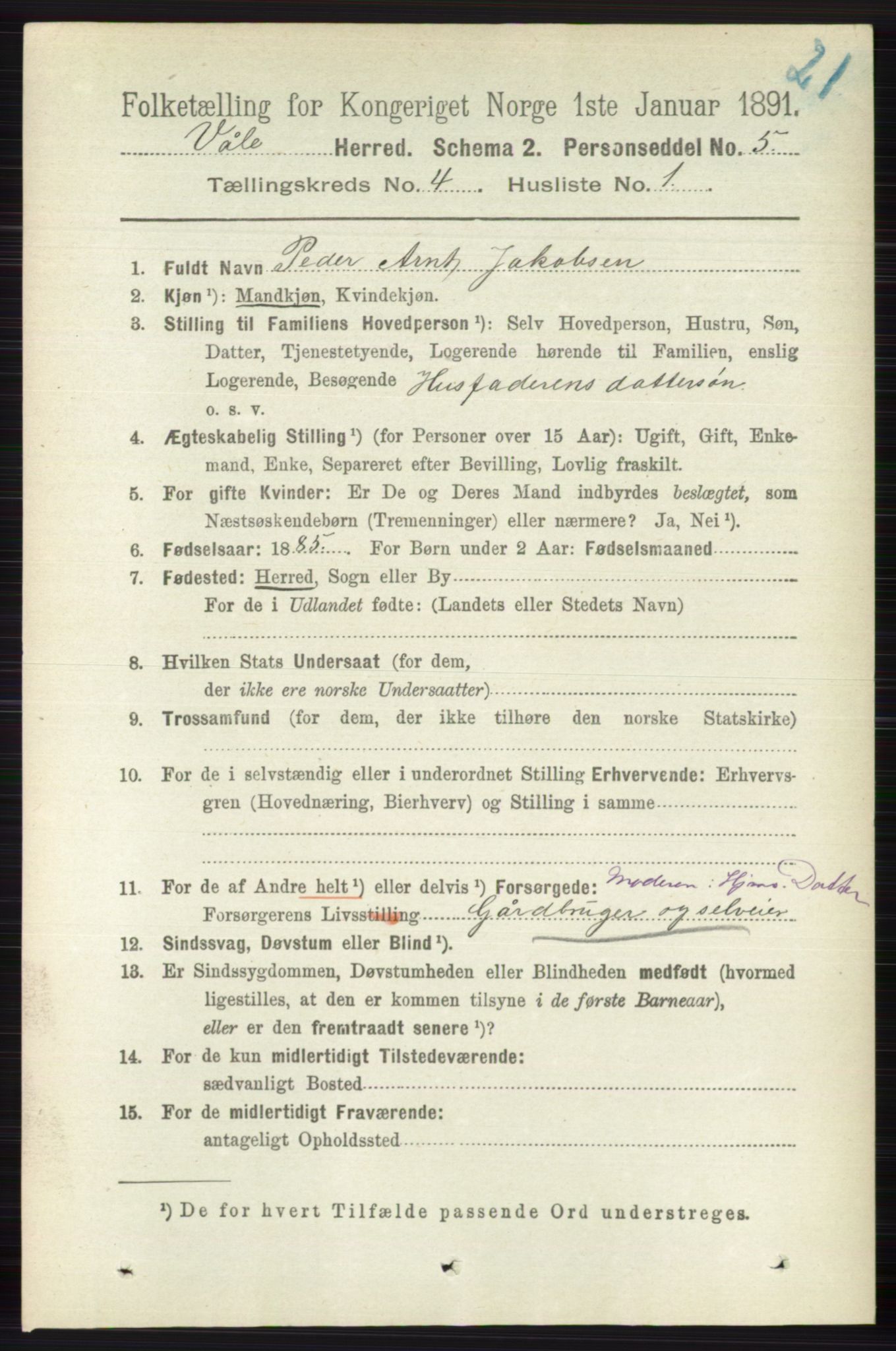 RA, 1891 census for 0716 Våle, 1891, p. 991