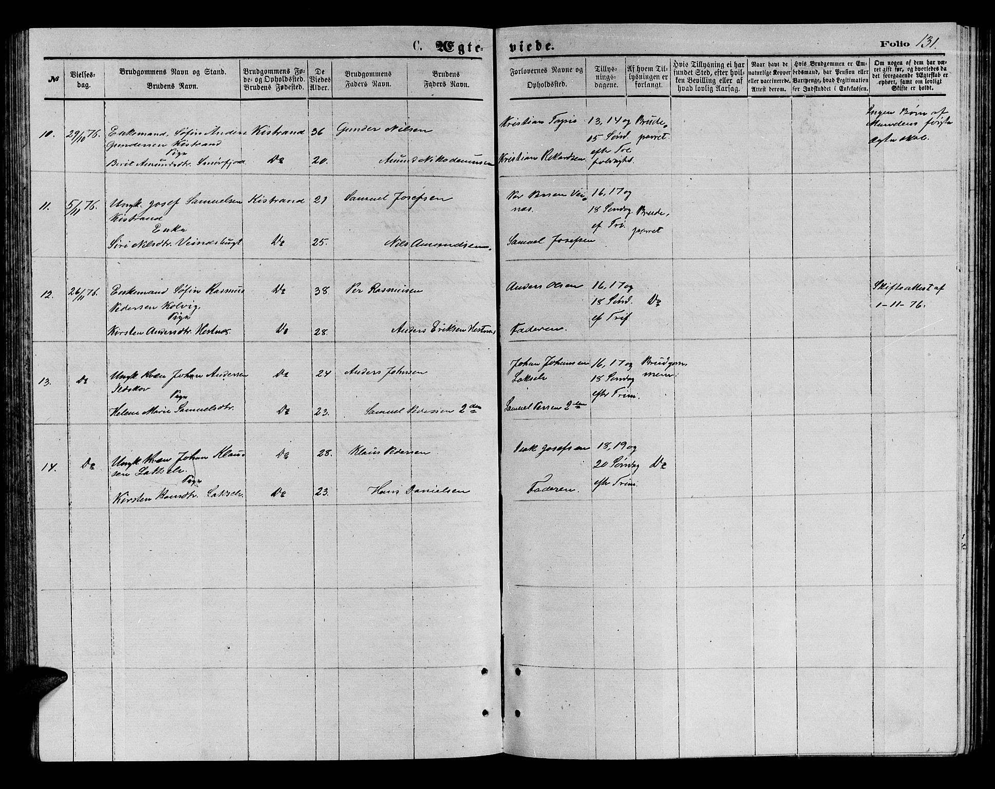 Kistrand/Porsanger sokneprestembete, AV/SATØ-S-1351/H/Hb/L0003.klokk: Parish register (copy) no. 3, 1874-1885, p. 131