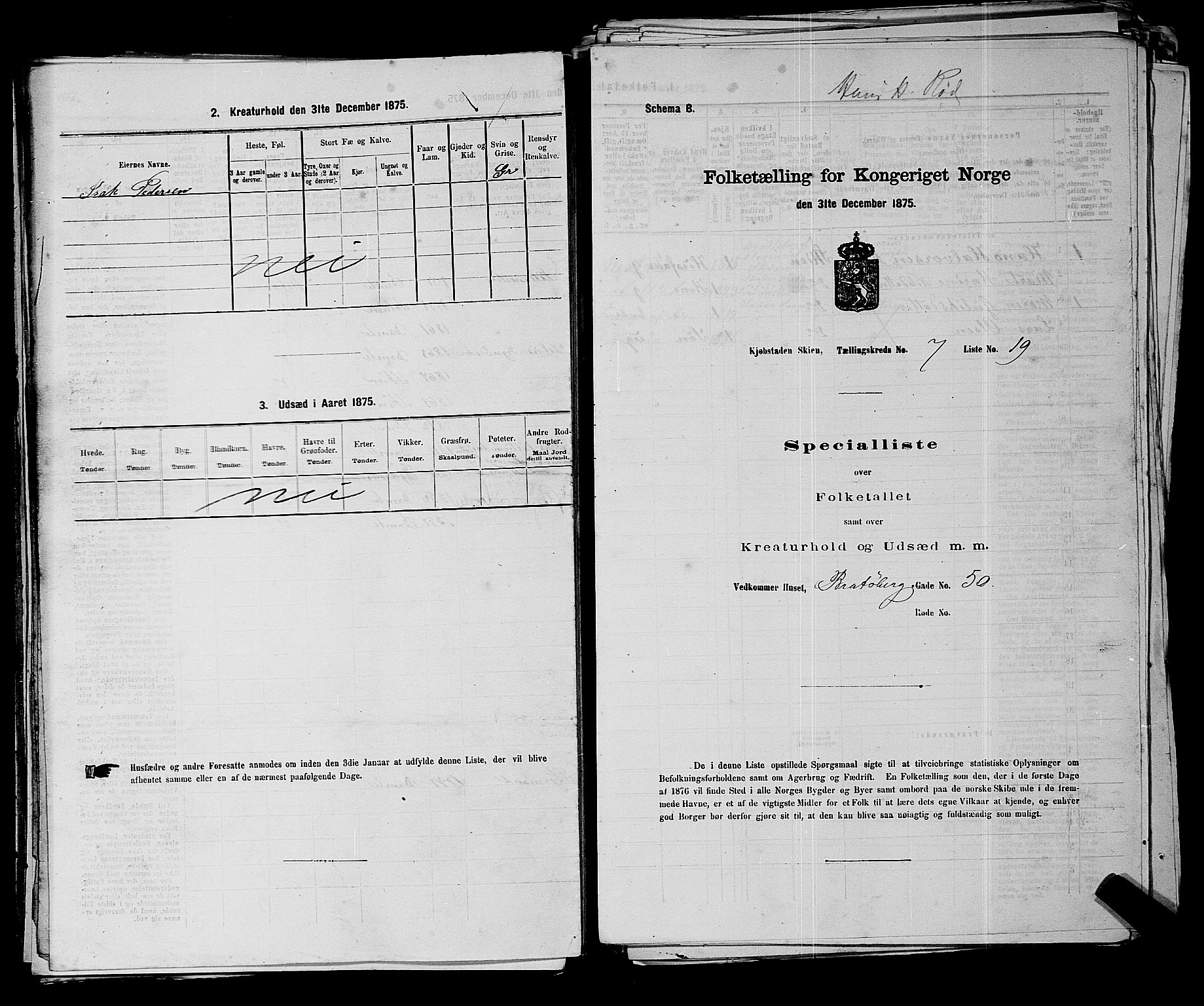 SAKO, 1875 census for 0806P Skien, 1875, p. 1079