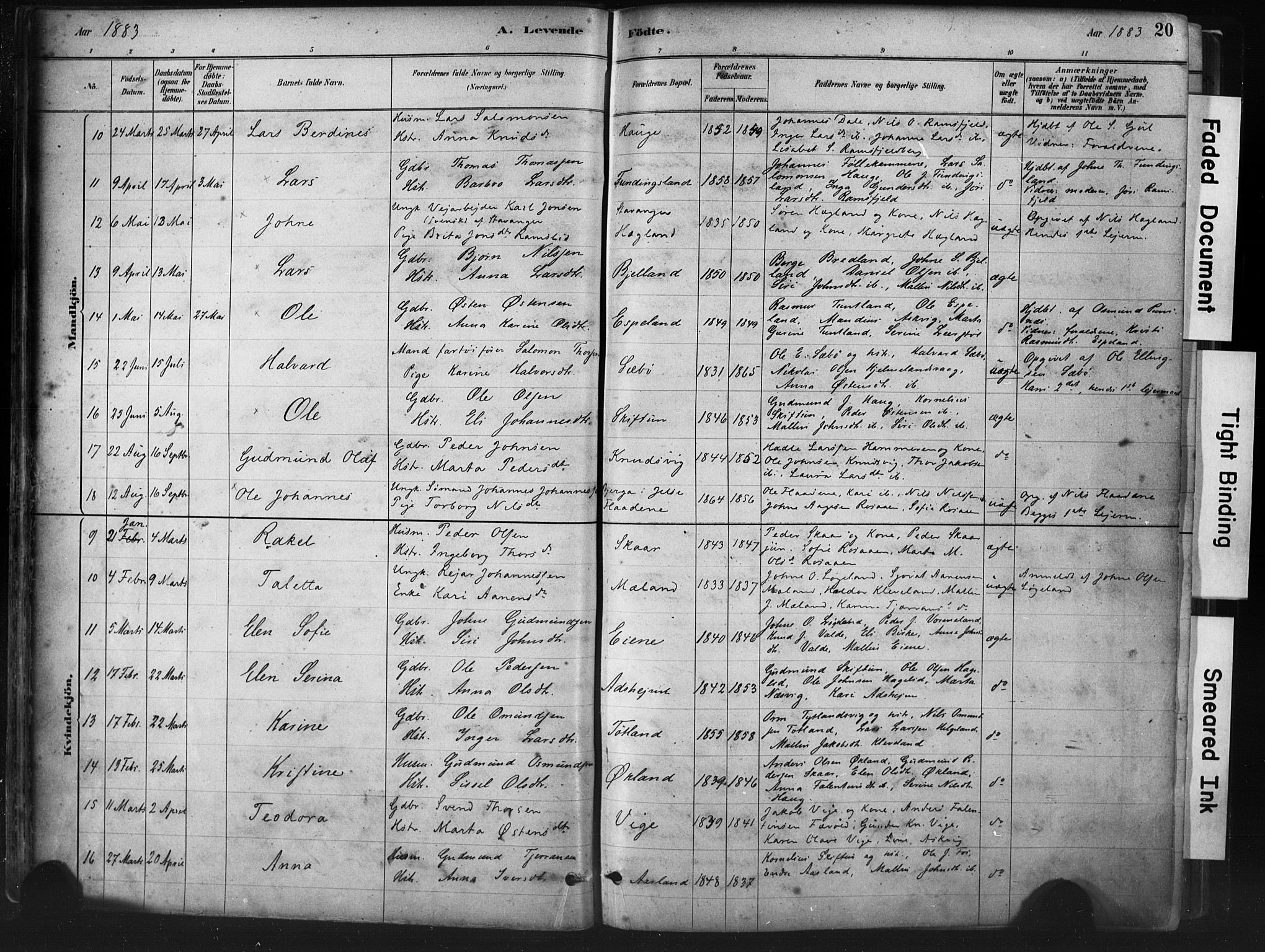 Hjelmeland sokneprestkontor, AV/SAST-A-101843/01/IV/L0014: Parish register (official) no. A 14, 1879-1900, p. 20