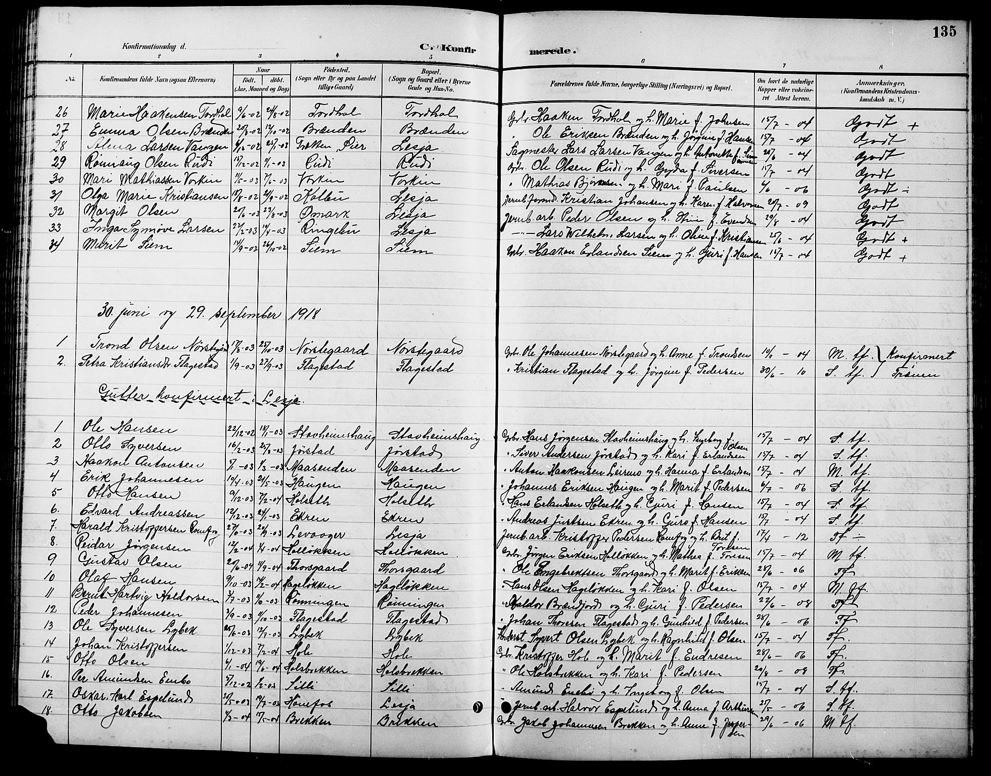 Lesja prestekontor, SAH/PREST-068/H/Ha/Hab/L0007: Parish register (copy) no. 7, 1895-1919, p. 135