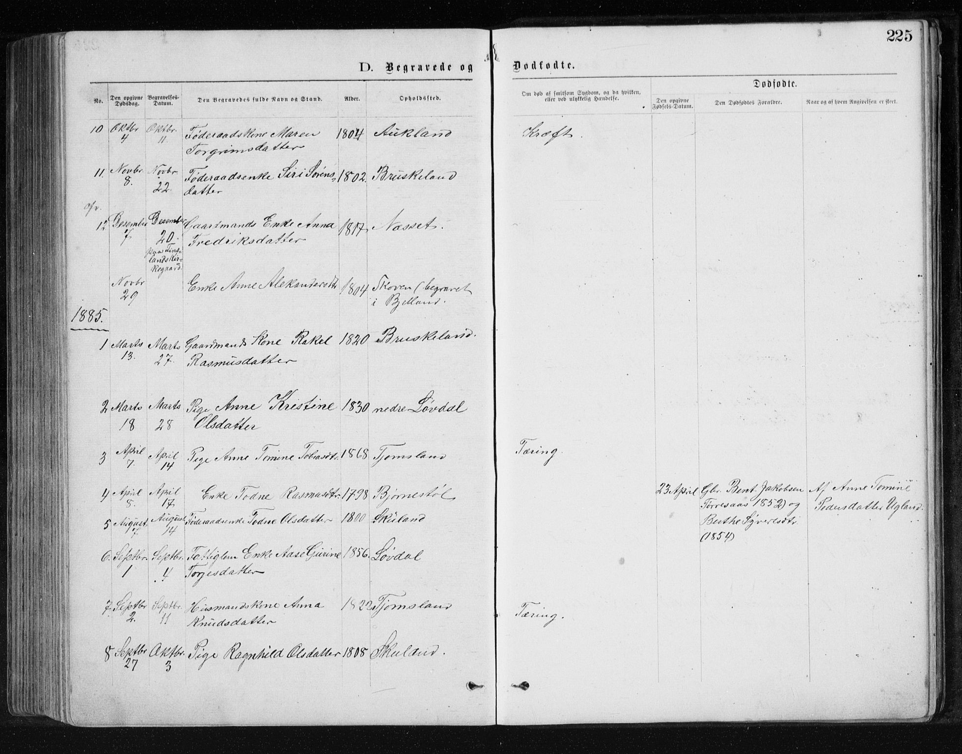 Holum sokneprestkontor, AV/SAK-1111-0022/F/Fb/Fbb/L0003: Parish register (copy) no. B 3, 1875-1898, p. 225