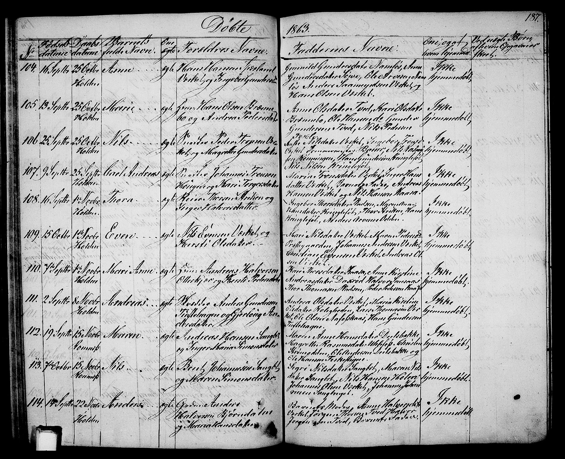 Holla kirkebøker, SAKO/A-272/G/Ga/L0003: Parish register (copy) no. I 3, 1849-1866, p. 187