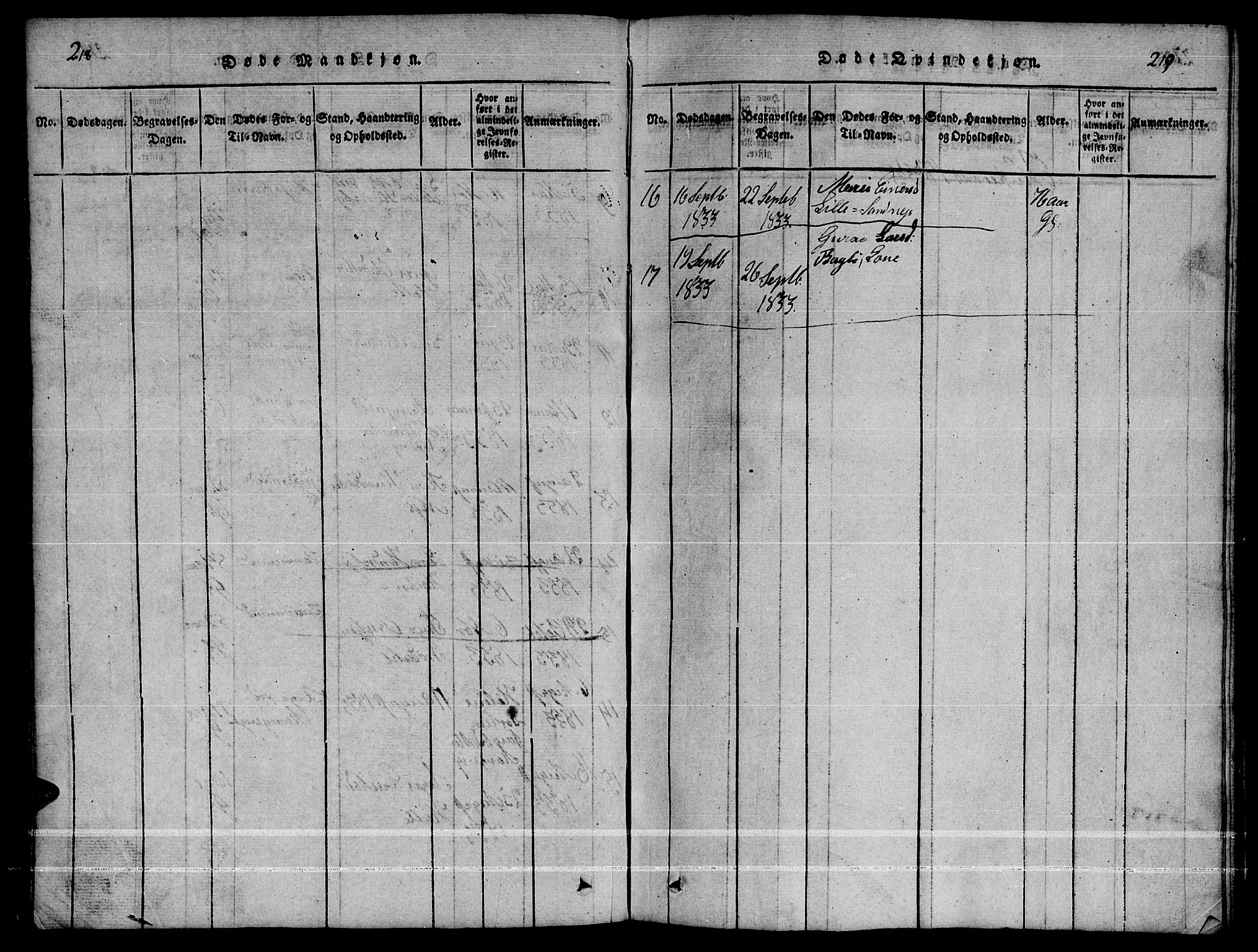 Ministerialprotokoller, klokkerbøker og fødselsregistre - Møre og Romsdal, AV/SAT-A-1454/592/L1031: Parish register (copy) no. 592C01, 1820-1833, p. 218-219