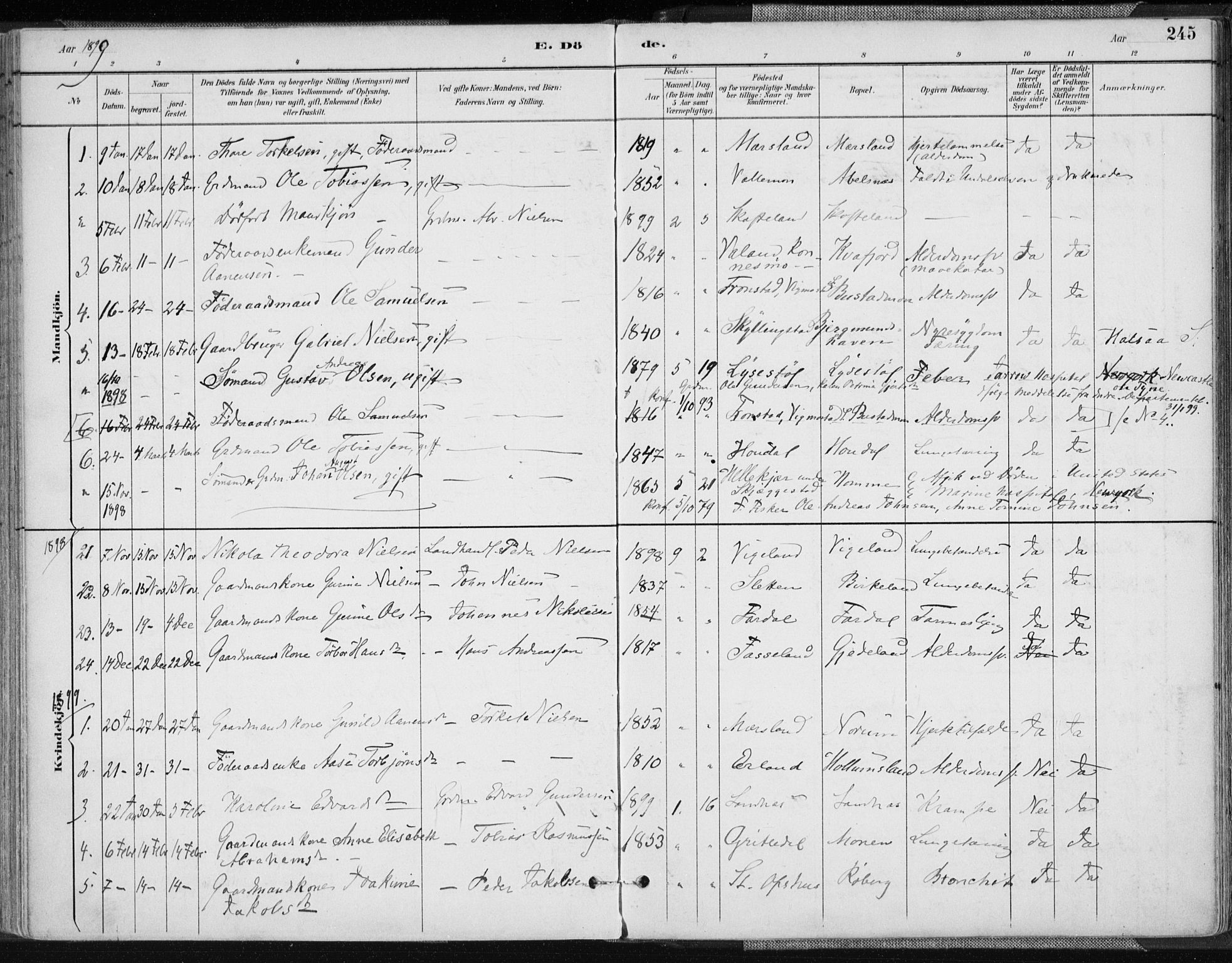 Sør-Audnedal sokneprestkontor, AV/SAK-1111-0039/F/Fa/Fab/L0010: Parish register (official) no. A 10, 1892-1913, p. 245