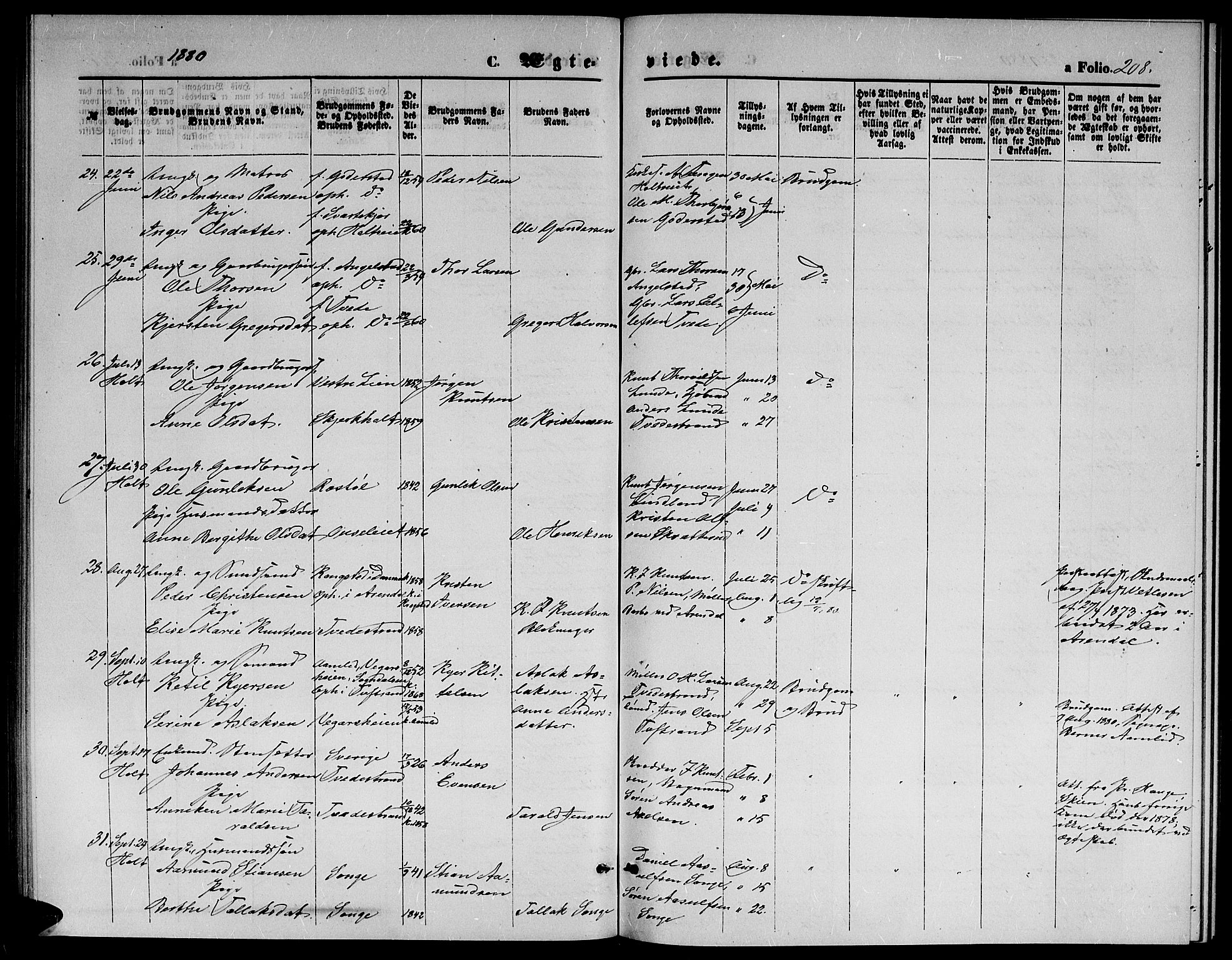 Holt sokneprestkontor, AV/SAK-1111-0021/F/Fb/L0009: Parish register (copy) no. B 9, 1871-1883, p. 208