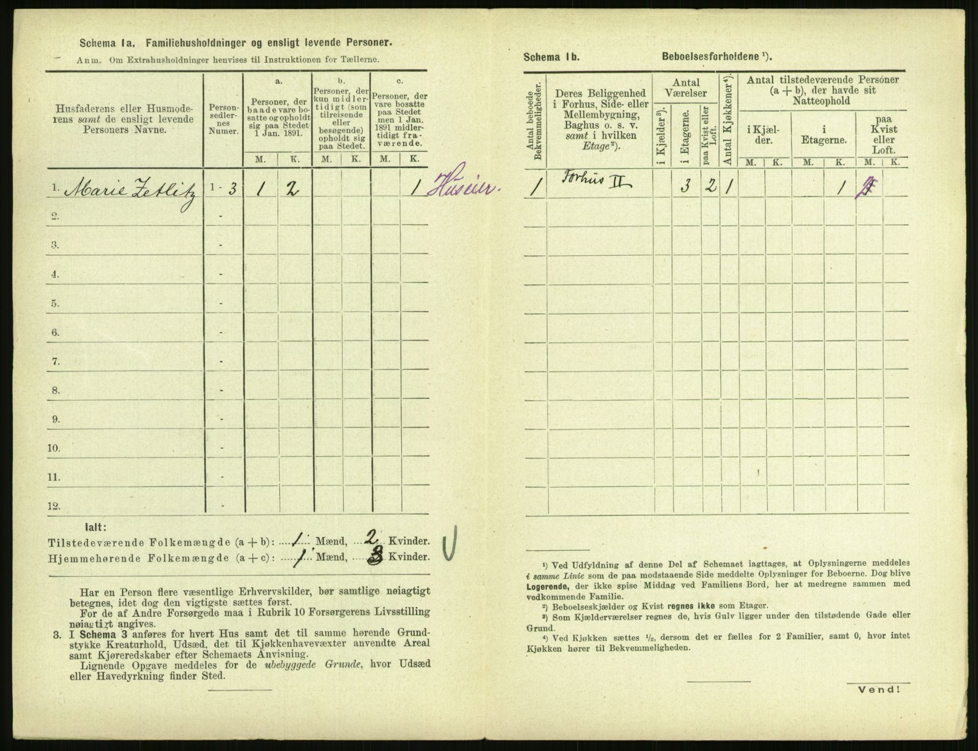 RA, 1891 census for 0707 Larvik, 1891, p. 910