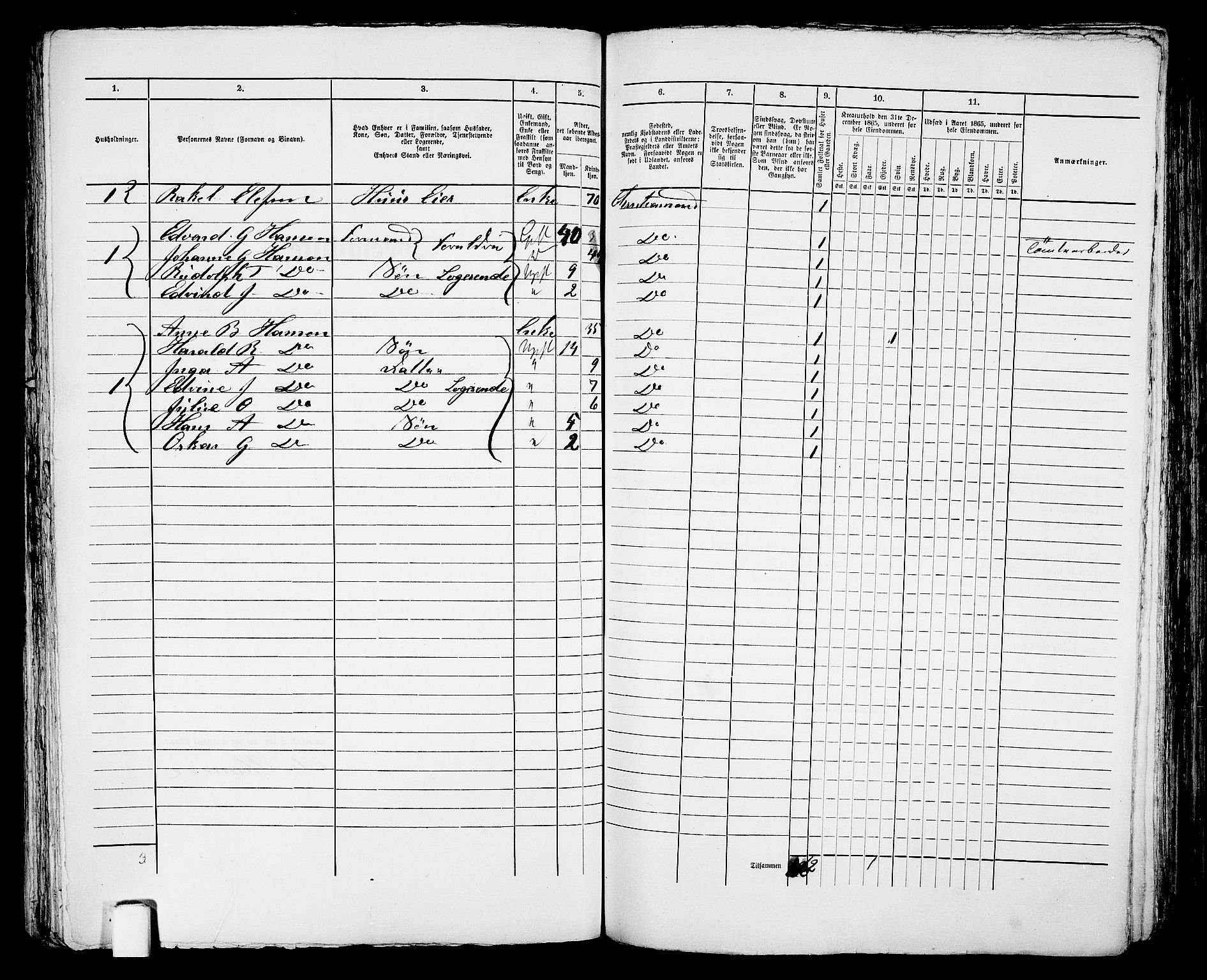 RA, 1865 census for Kristiansand, 1865, p. 734