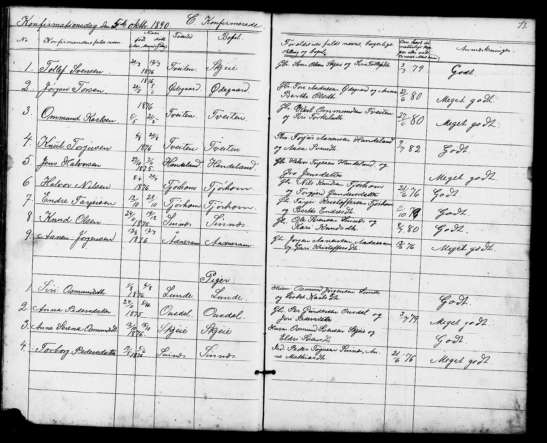 Sirdal sokneprestkontor, AV/SAK-1111-0036/F/Fb/Fba/L0001: Parish register (copy) no. B 1, 1872-1905, p. 73