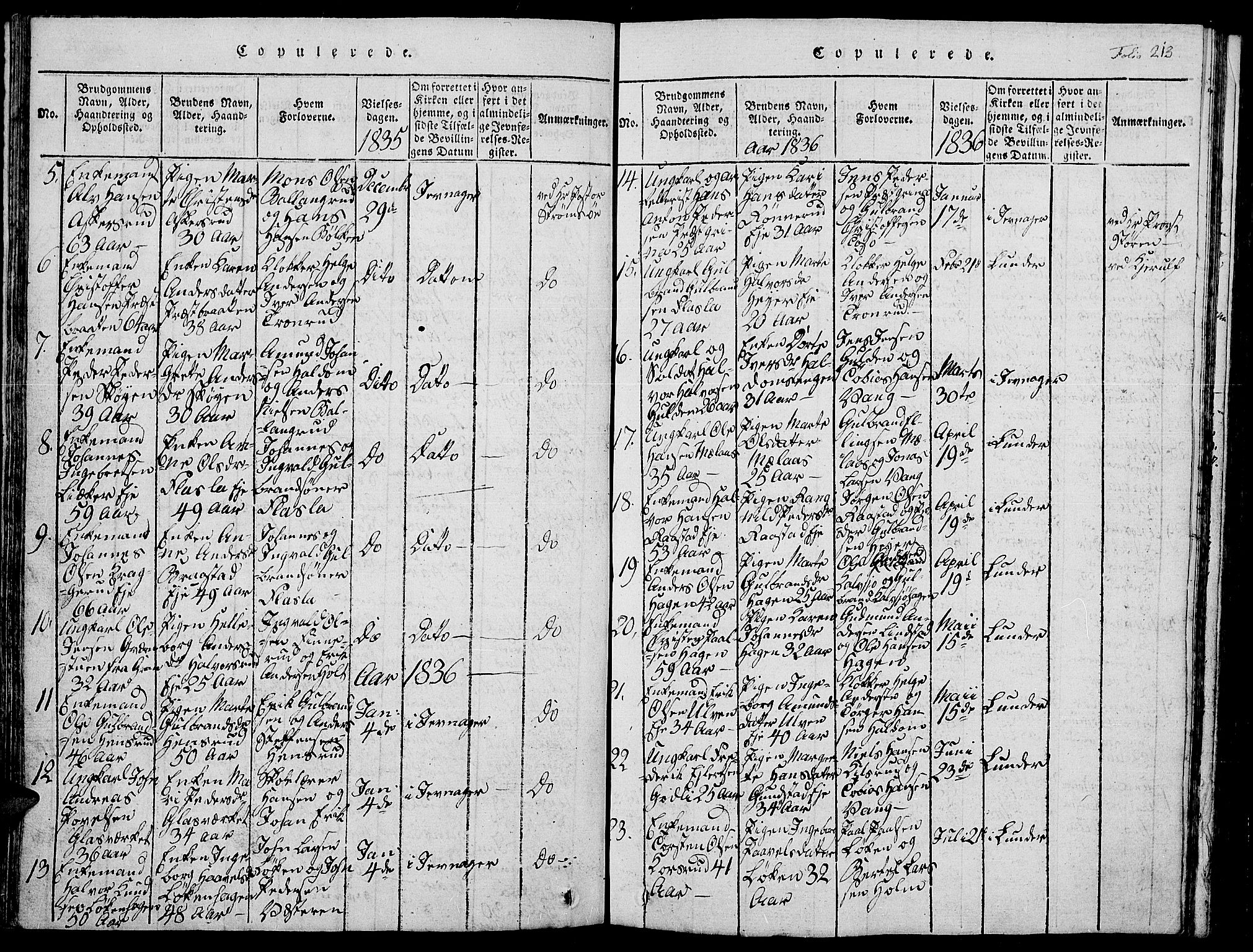 Jevnaker prestekontor, SAH/PREST-116/H/Ha/Hab/L0001: Parish register (copy) no. 1, 1815-1837, p. 213