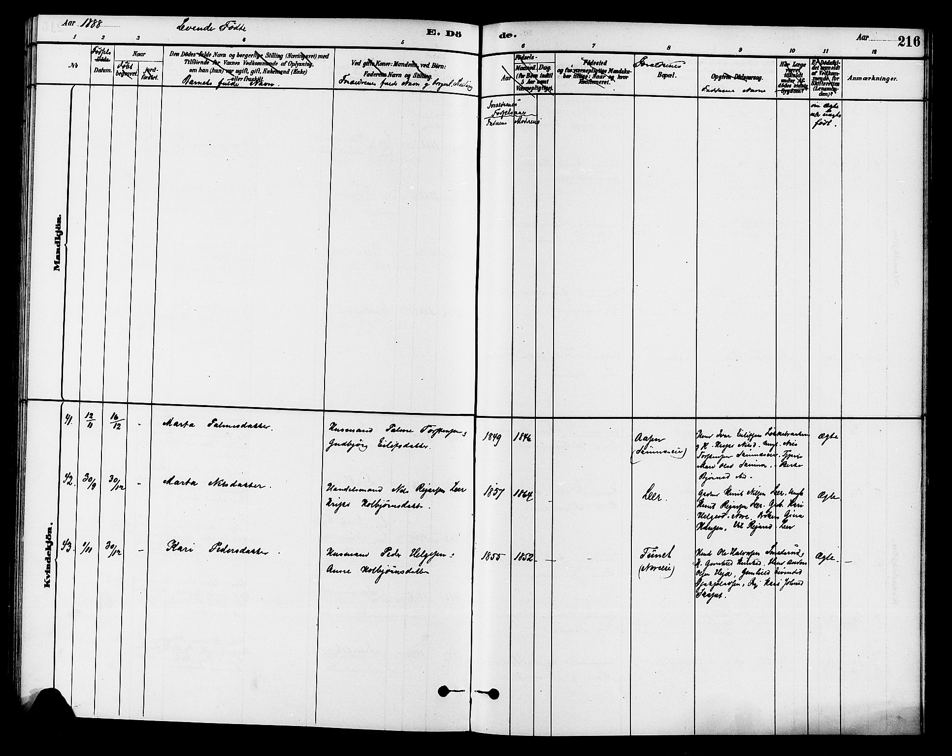 Krødsherad kirkebøker, AV/SAKO-A-19/G/Ga/L0001: Parish register (copy) no. 1, 1879-1893, p. 216