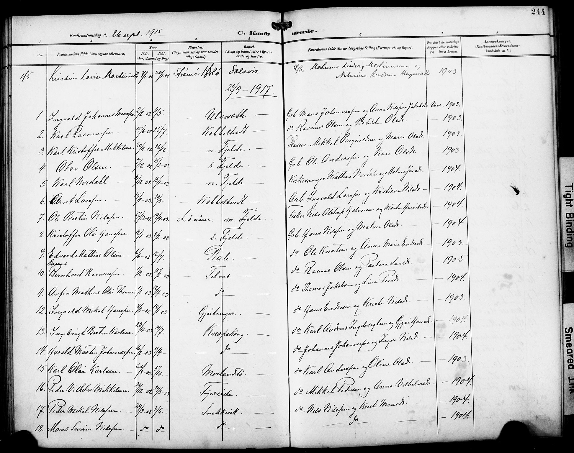 Fjell sokneprestembete, SAB/A-75301/H/Hab: Parish register (copy) no. A 5, 1899-1918, p. 244