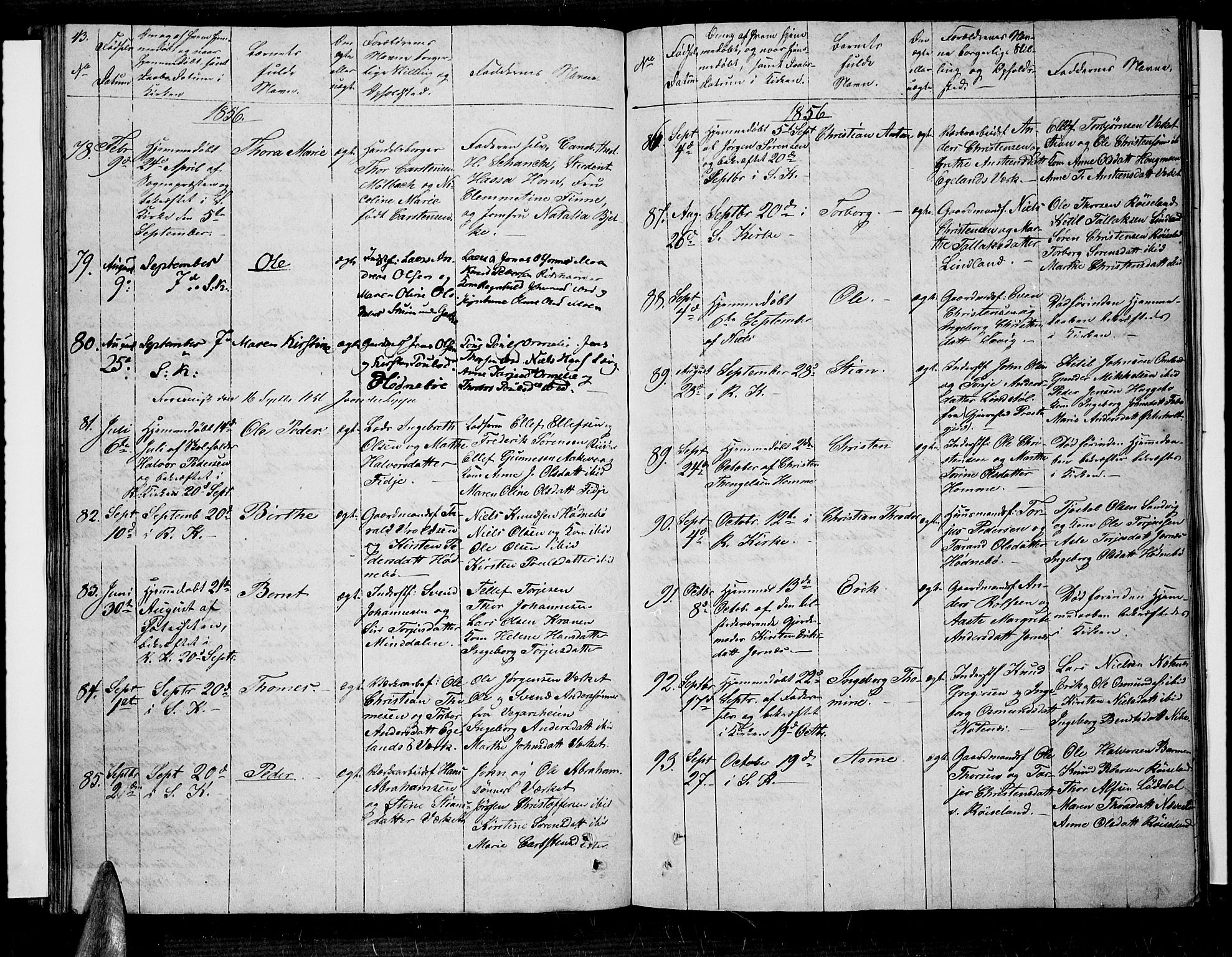 Søndeled sokneprestkontor, AV/SAK-1111-0038/F/Fb/L0003: Parish register (copy) no. B 3, 1849-1857, p. 43