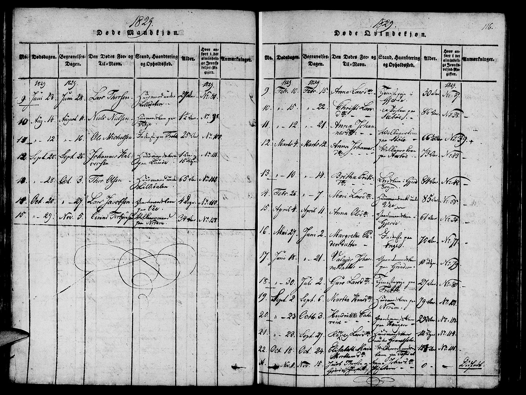 Etne sokneprestembete, SAB/A-75001/H/Haa: Parish register (official) no. A 6, 1815-1831, p. 116