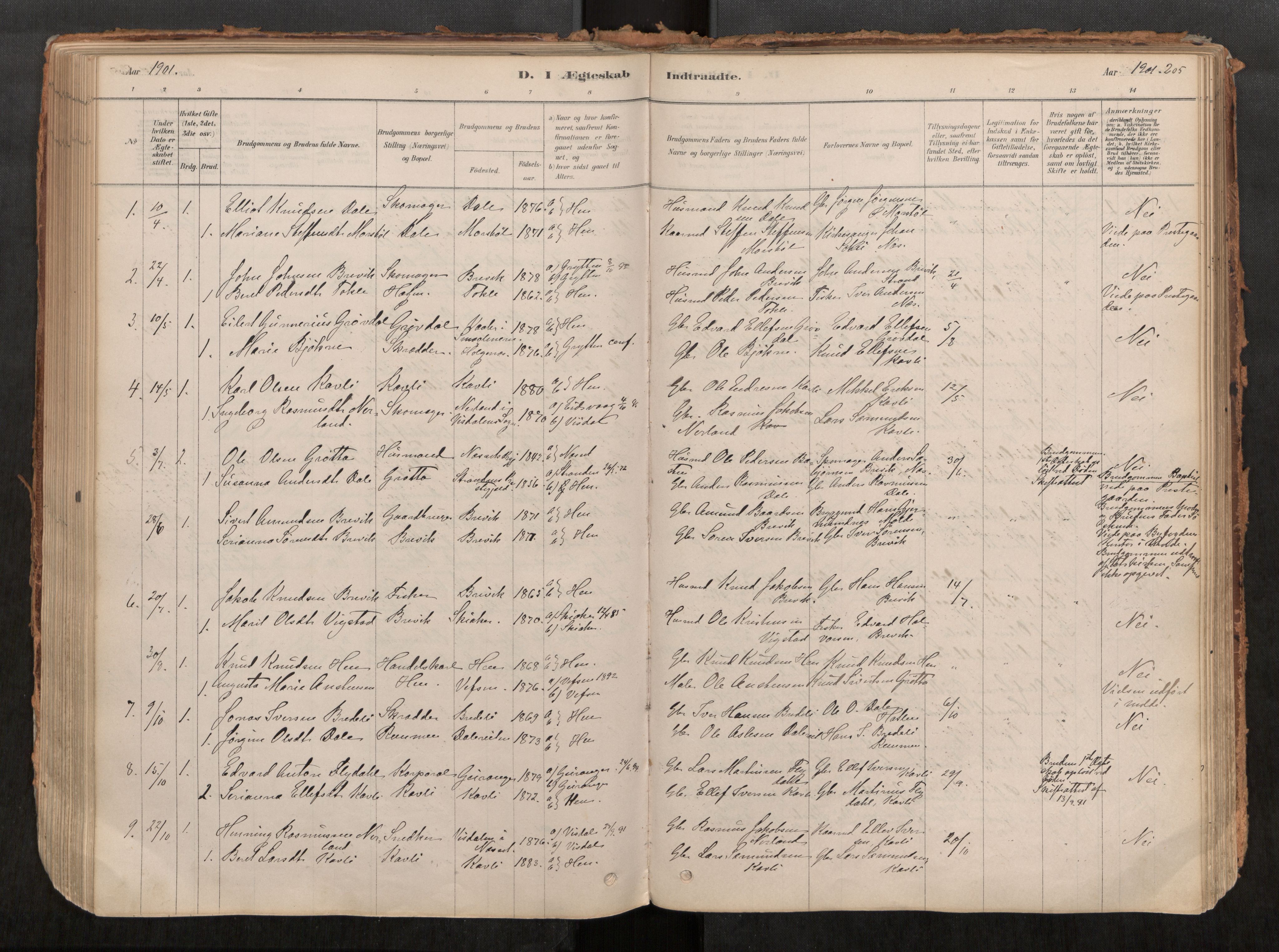 Ministerialprotokoller, klokkerbøker og fødselsregistre - Møre og Romsdal, SAT/A-1454/545/L0594: Parish register (official) no. 545A03, 1878-1920, p. 205