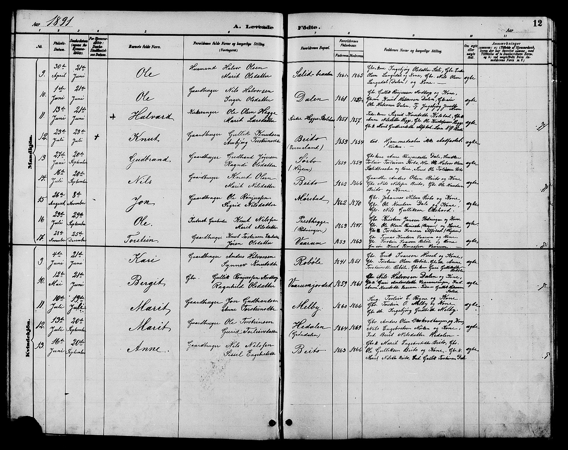 Øystre Slidre prestekontor, AV/SAH-PREST-138/H/Ha/Hab/L0004: Parish register (copy) no. 4, 1887-1907, p. 12
