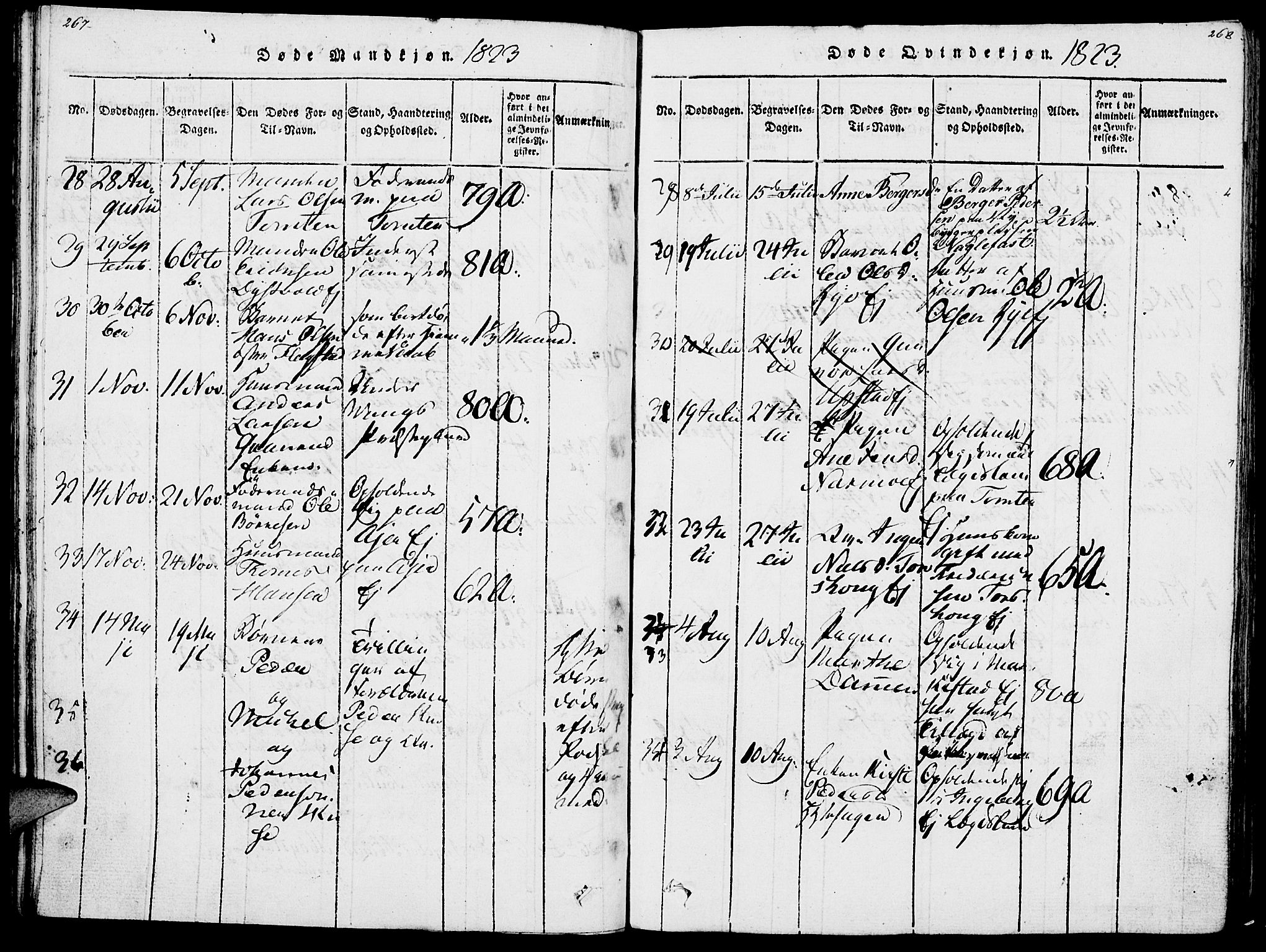 Vang prestekontor, Hedmark, AV/SAH-PREST-008/H/Ha/Haa/L0007: Parish register (official) no. 7, 1813-1826, p. 267-268