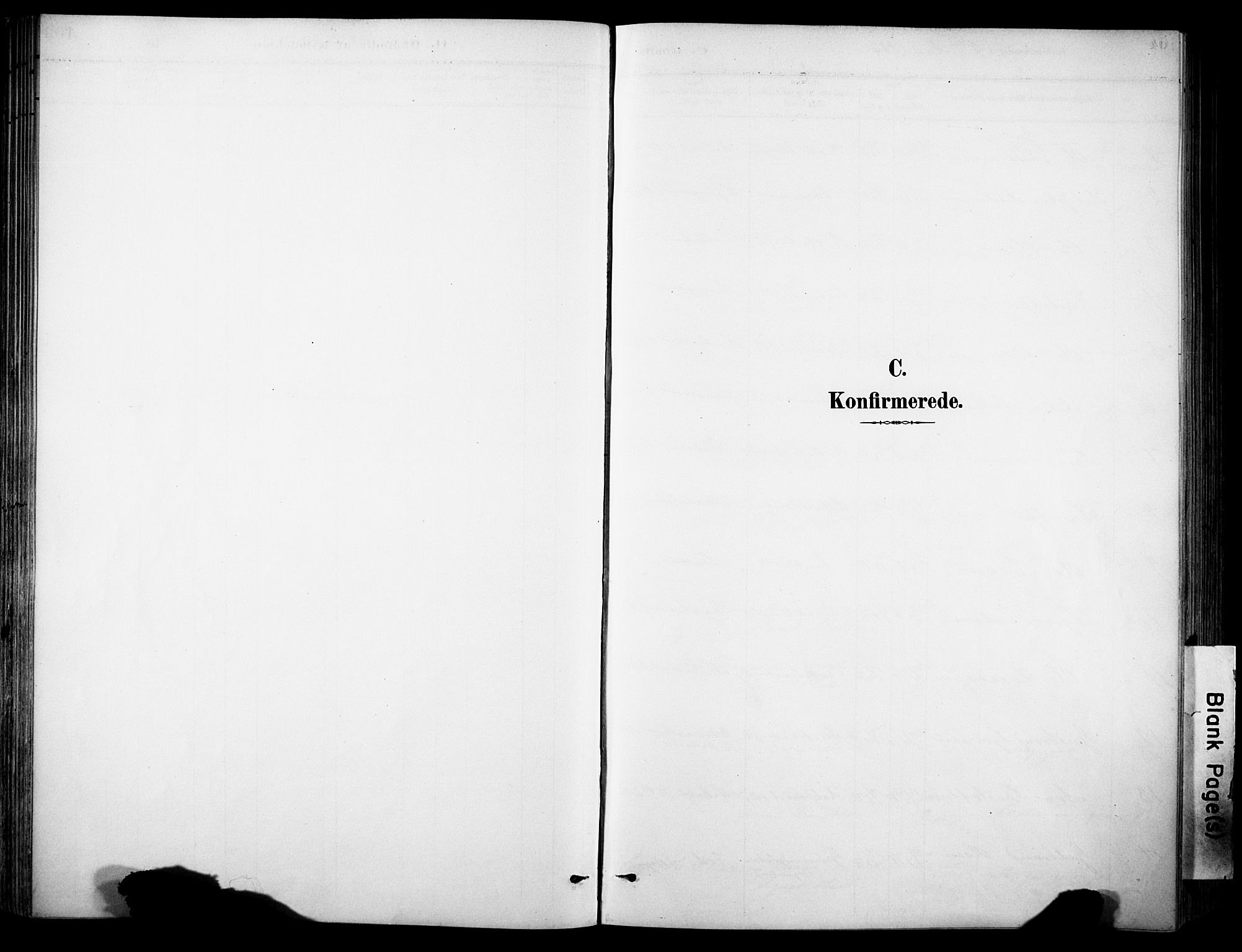 Sør-Aurdal prestekontor, AV/SAH-PREST-128/H/Ha/Haa/L0009: Parish register (official) no. 9, 1886-1906