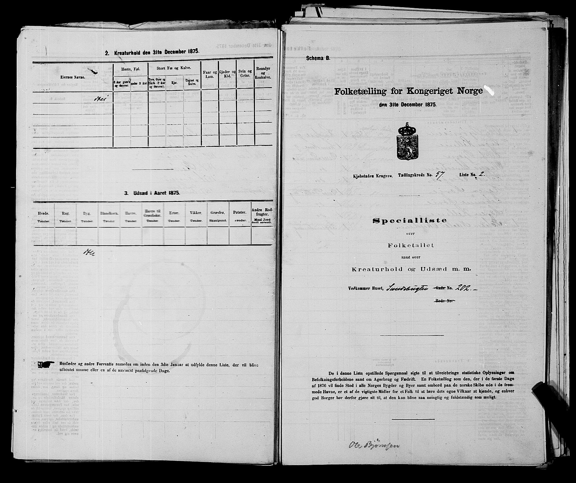 SAKO, 1875 census for 0801P Kragerø, 1875, p. 1264