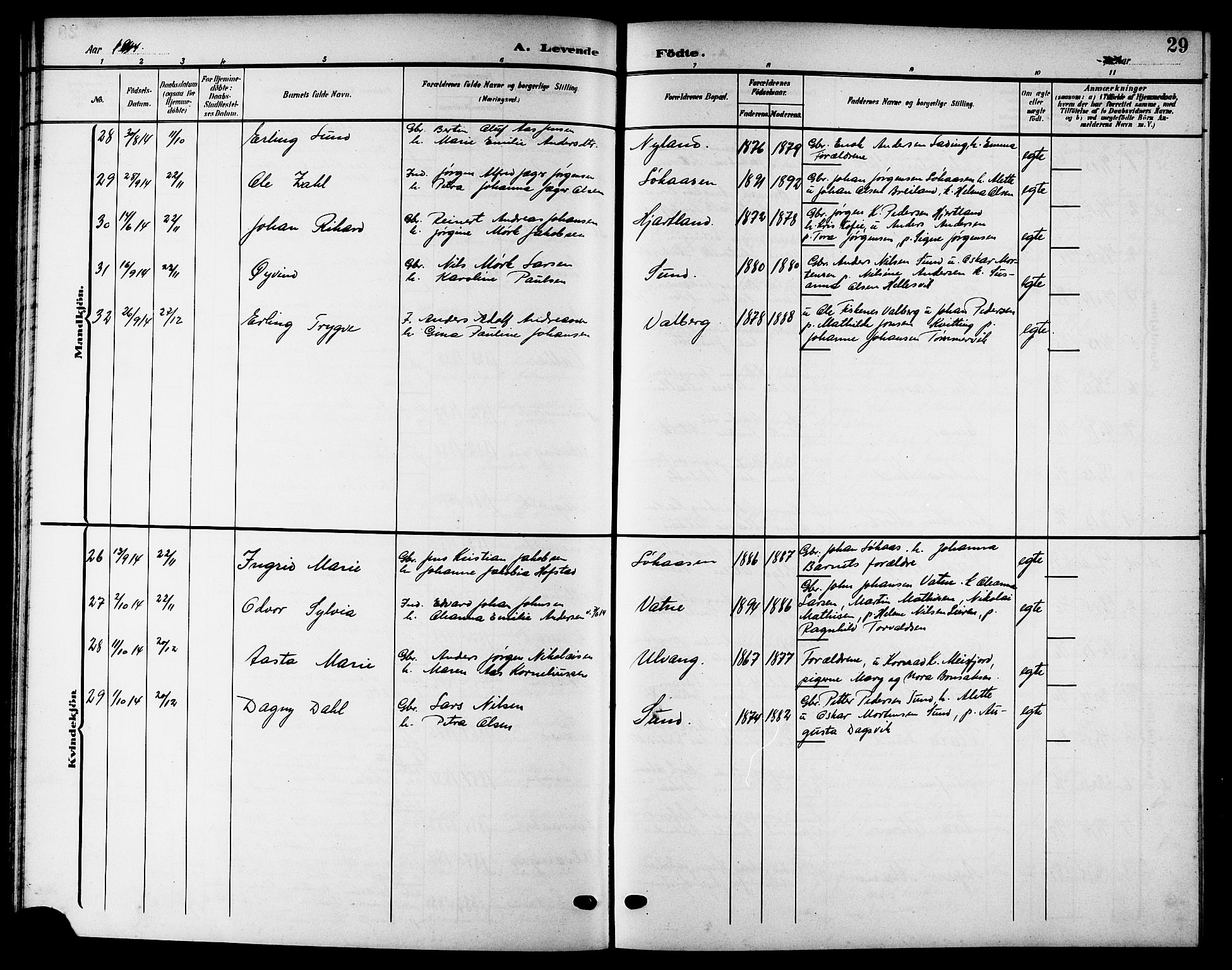 Ministerialprotokoller, klokkerbøker og fødselsregistre - Nordland, SAT/A-1459/832/L0494: Parish register (copy) no. 832C01, 1906-1922, p. 29