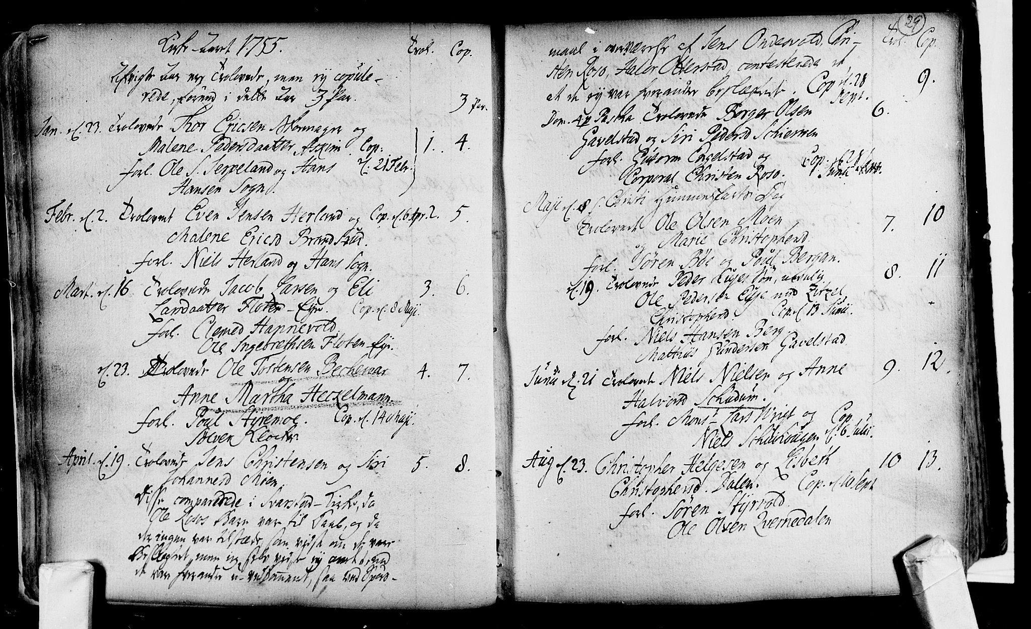 Lardal kirkebøker, AV/SAKO-A-350/F/Fa/L0004: Parish register (official) no. i 4, 1733-1815, p. 29