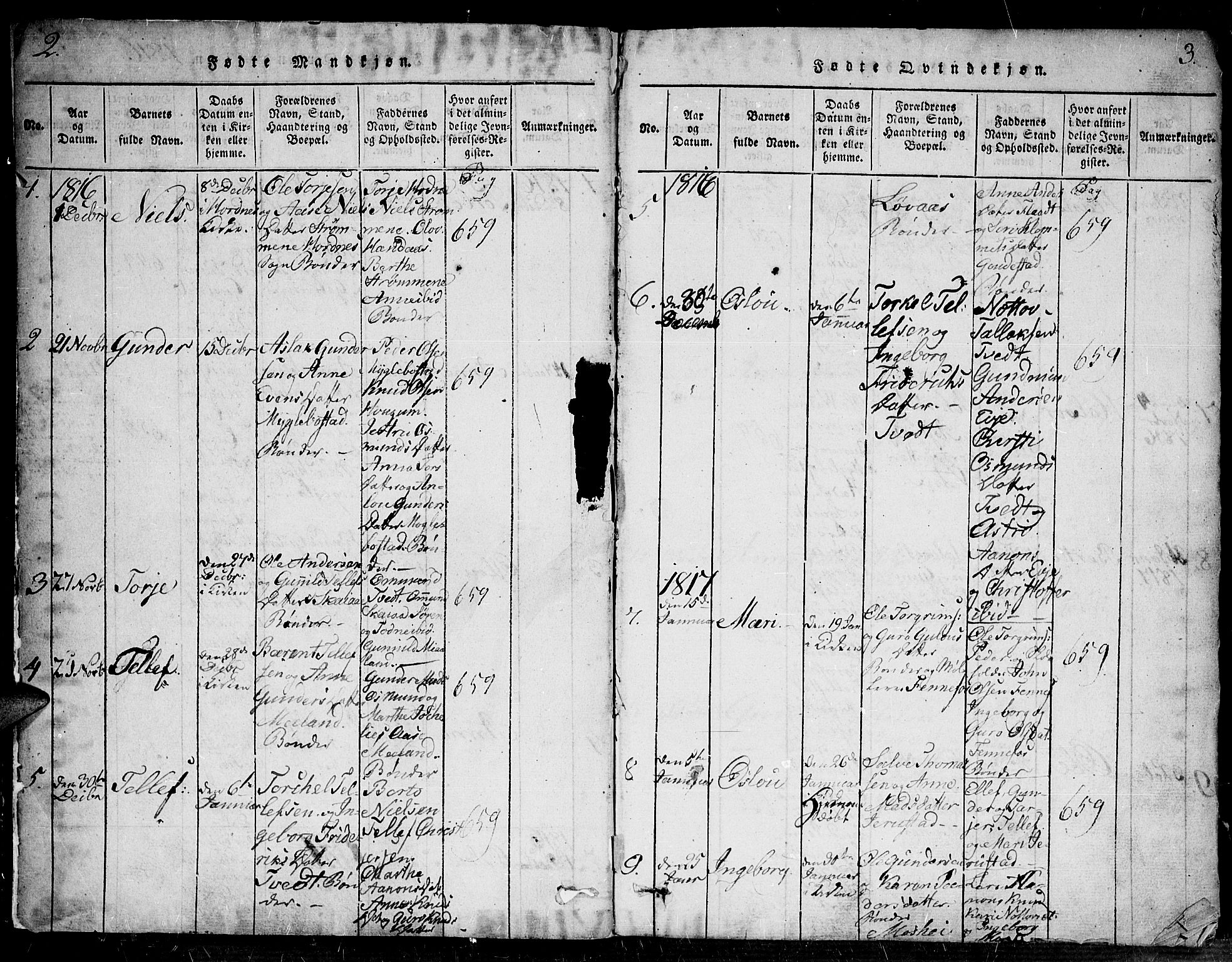 Evje sokneprestkontor, SAK/1111-0008/F/Fa/Faa/L0004: Parish register (official) no. A 4, 1816-1840, p. 2-3