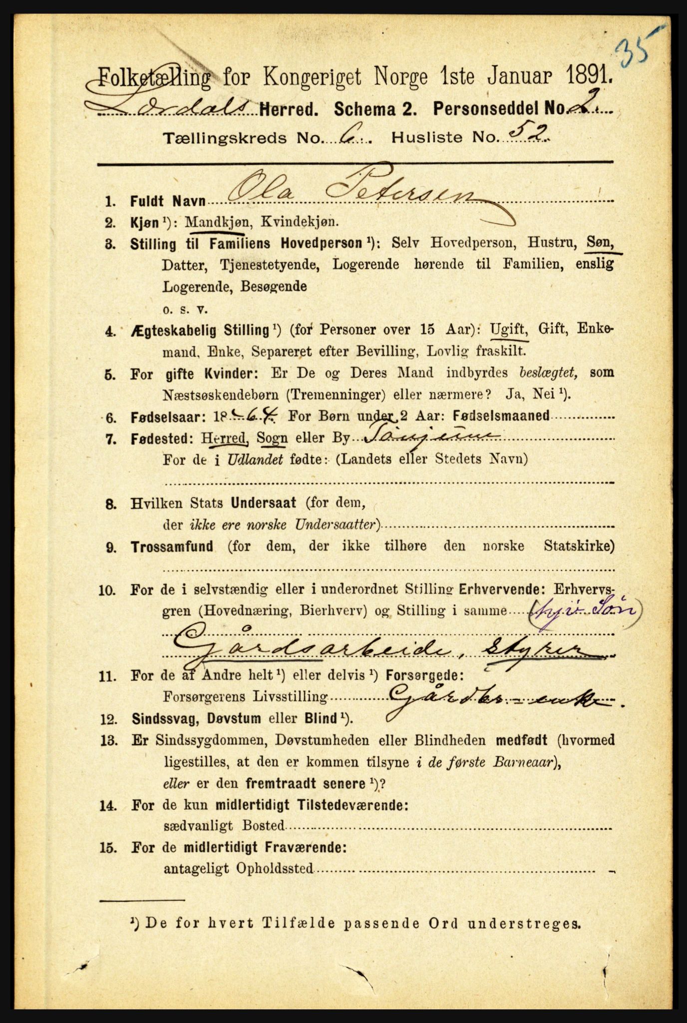 RA, 1891 census for 1422 Lærdal, 1891, p. 730