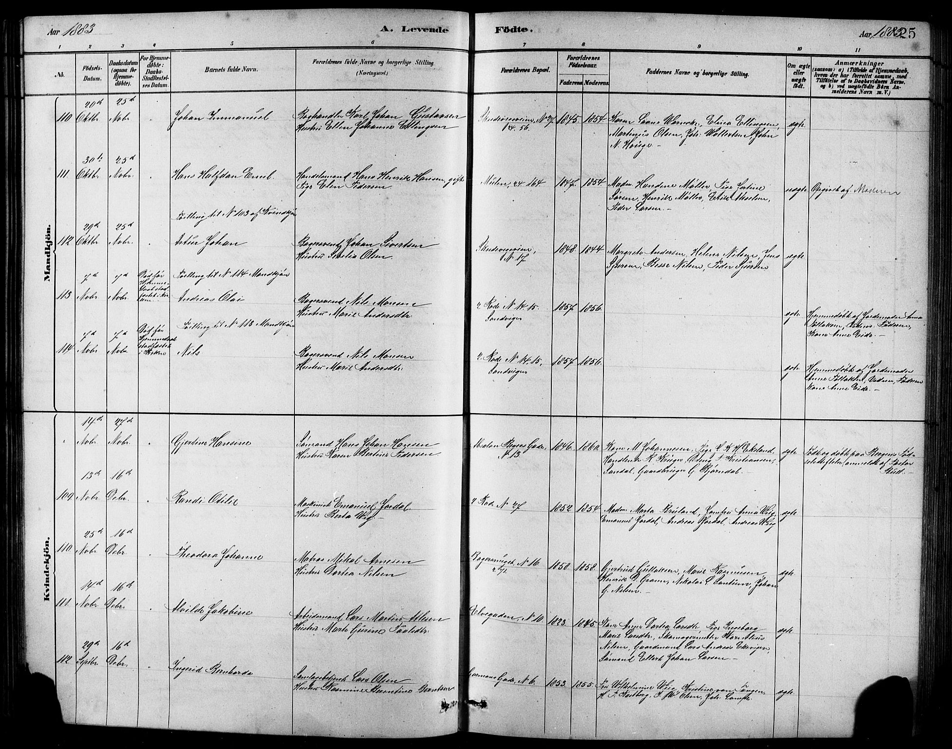 Sandviken Sokneprestembete, AV/SAB-A-77601/H/Hb/L0001: Parish register (copy) no. A 2, 1879-1892, p. 125