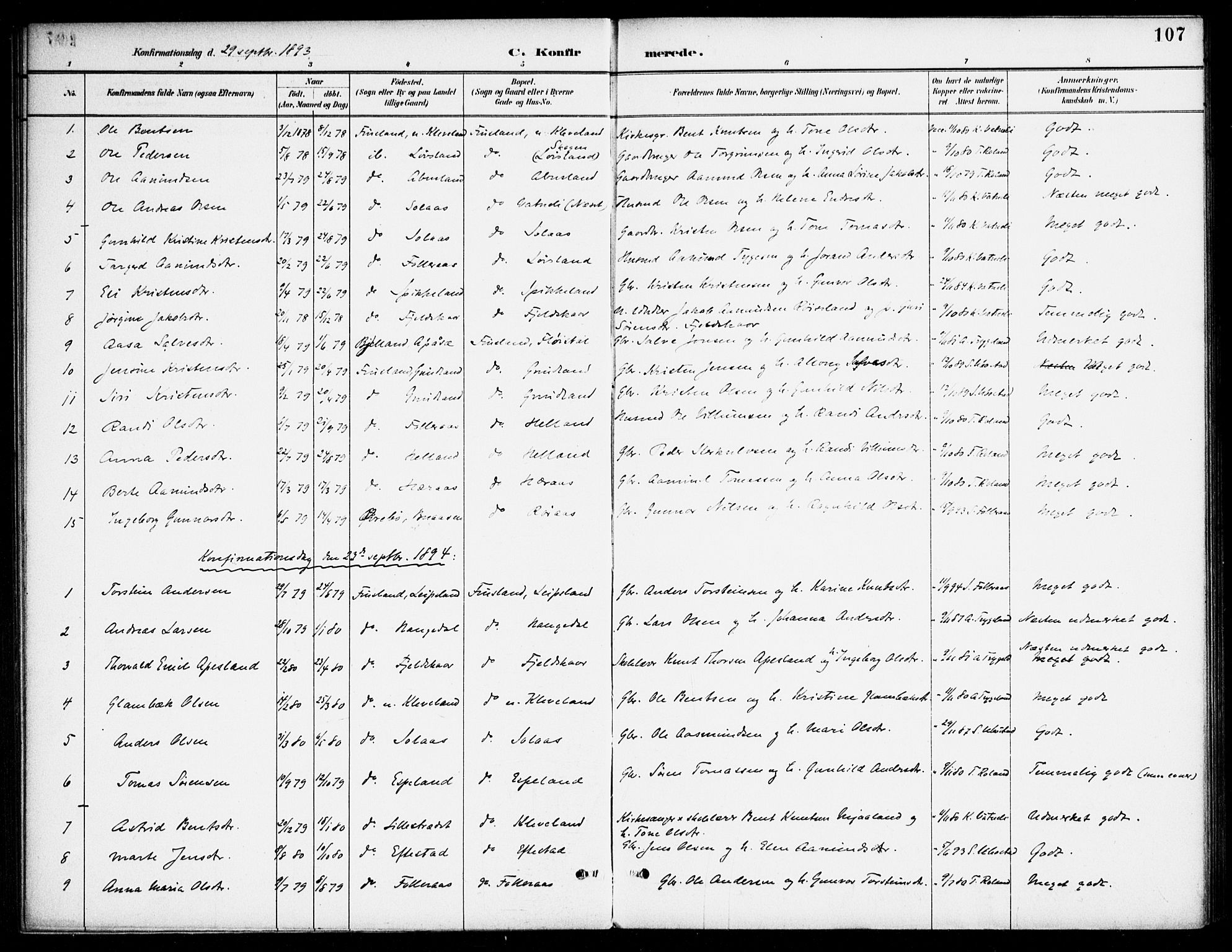 Bjelland sokneprestkontor, SAK/1111-0005/F/Fa/Fab/L0004: Parish register (official) no. A 4, 1887-1920, p. 107