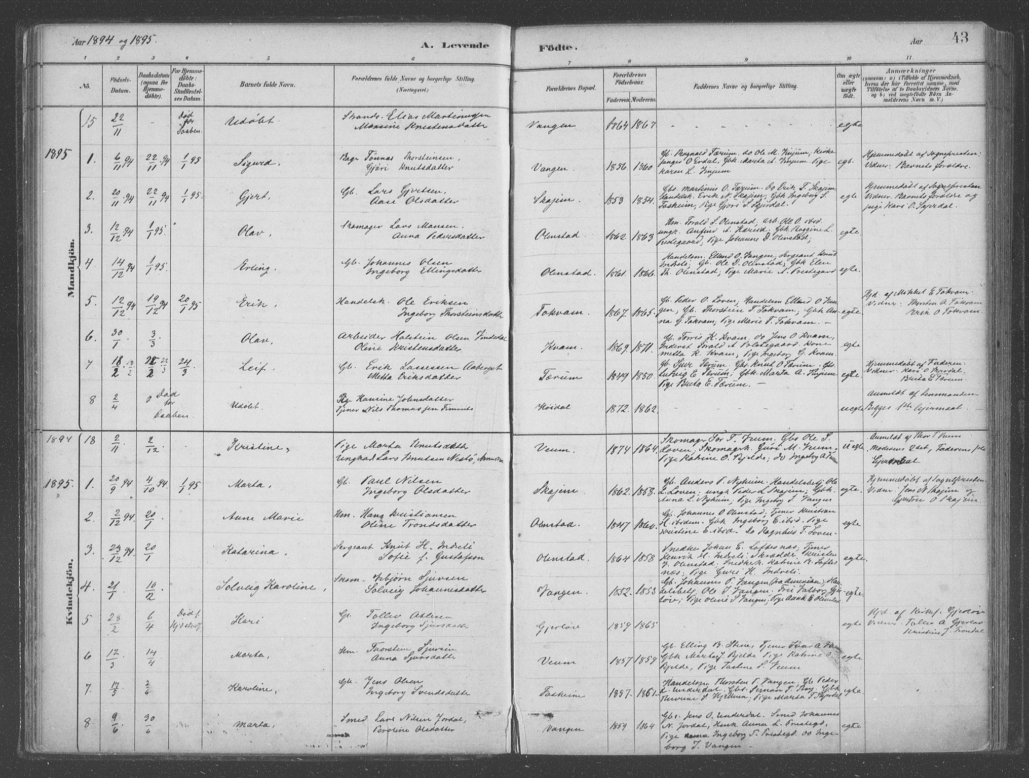 Aurland sokneprestembete, SAB/A-99937/H/Ha/Hab/L0001: Parish register (official) no. B  1, 1880-1909, p. 43