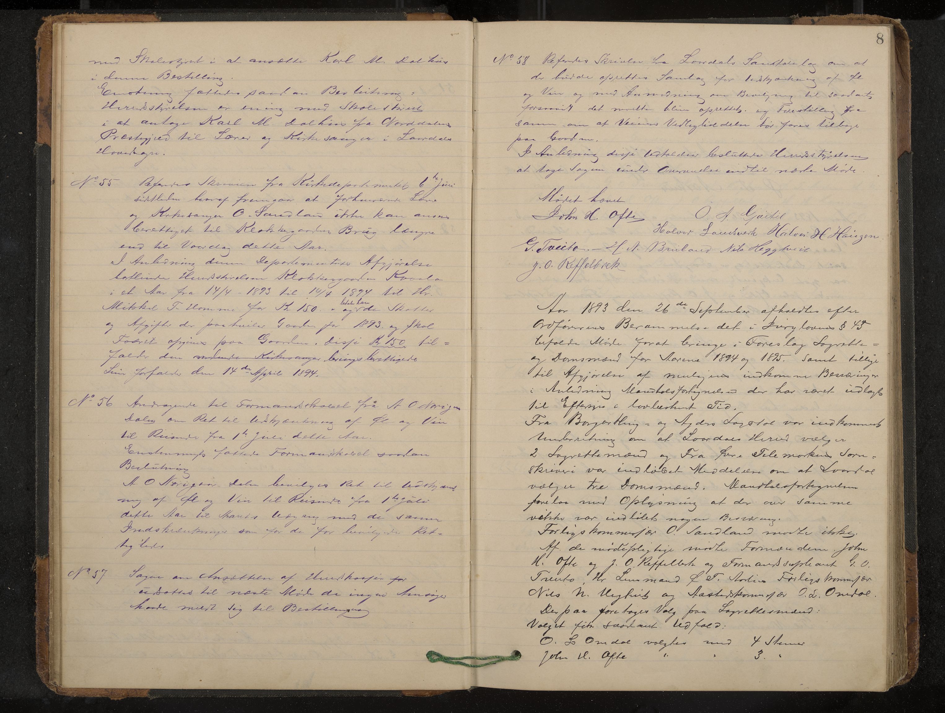 Lårdal formannskap og sentraladministrasjon, IKAK/0833021/A/L0003: Møtebok, 1893-1901, p. 8