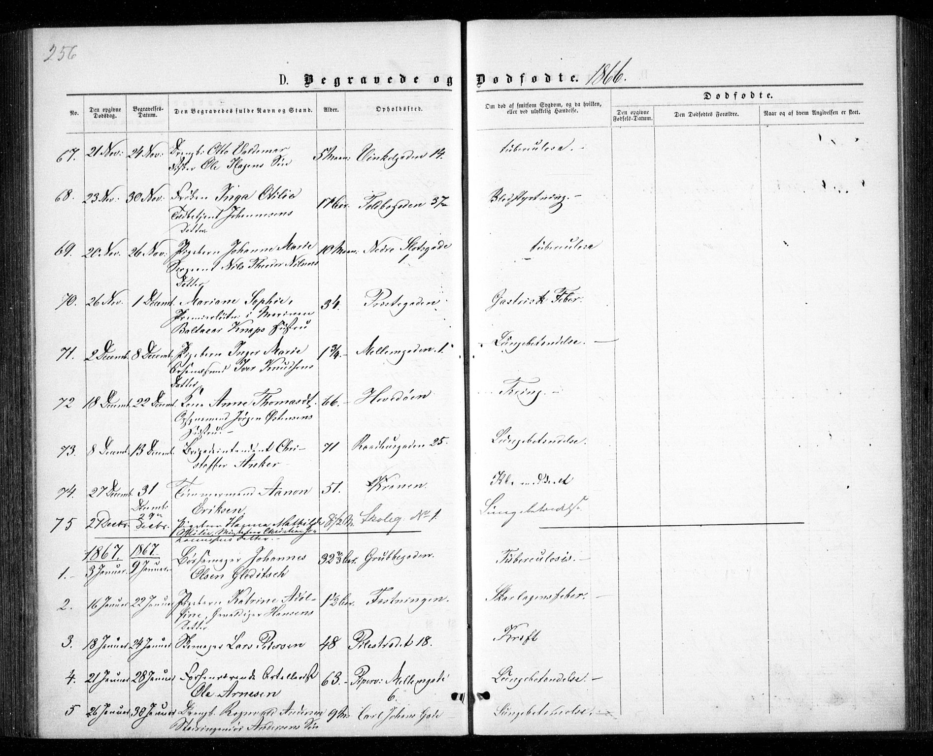 Garnisonsmenigheten Kirkebøker, SAO/A-10846/G/Ga/L0006: Parish register (copy) no. 6, 1860-1880, p. 256