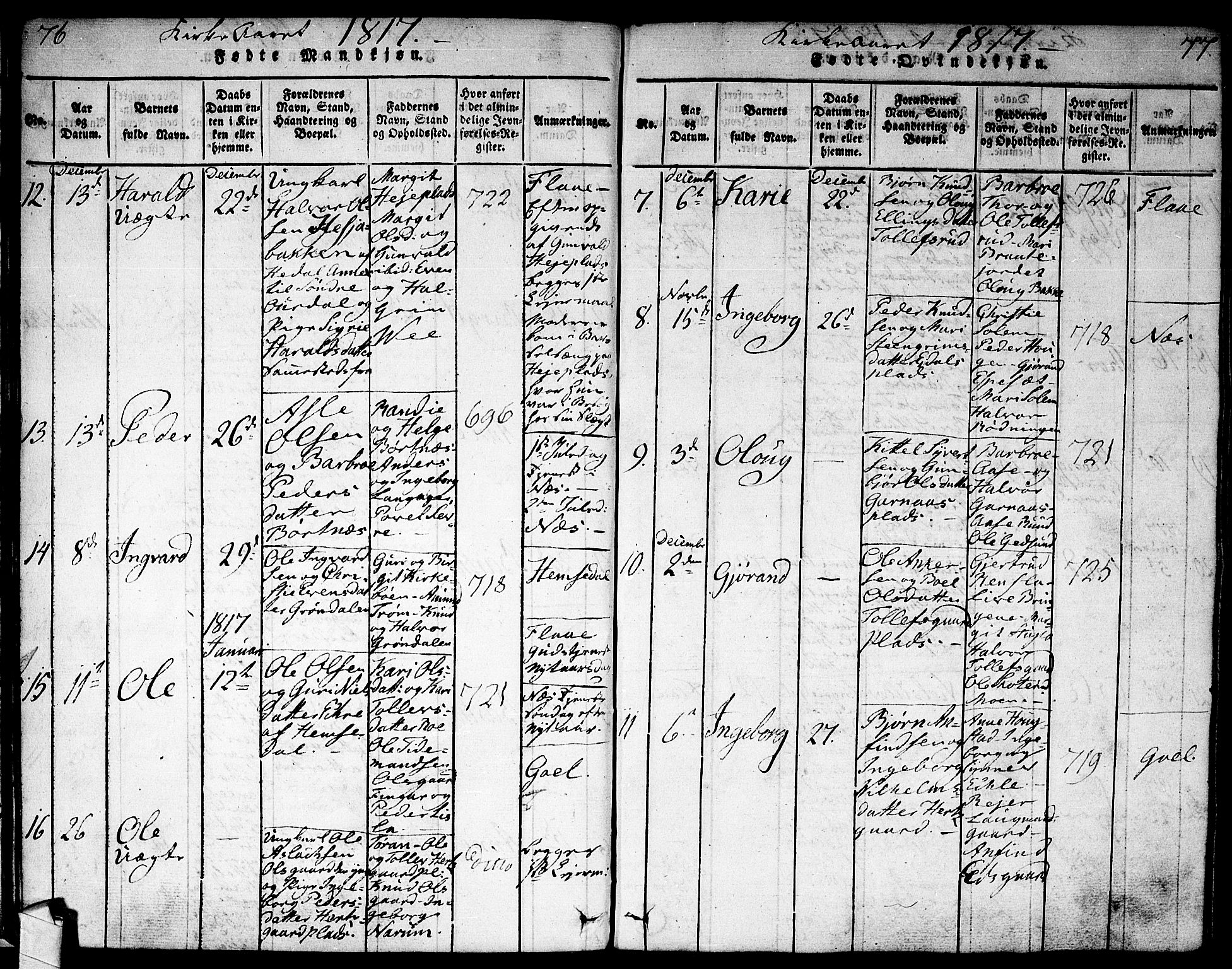 Nes kirkebøker, SAKO/A-236/F/Fa/L0007: Parish register (official) no. 7, 1815-1823, p. 76-77