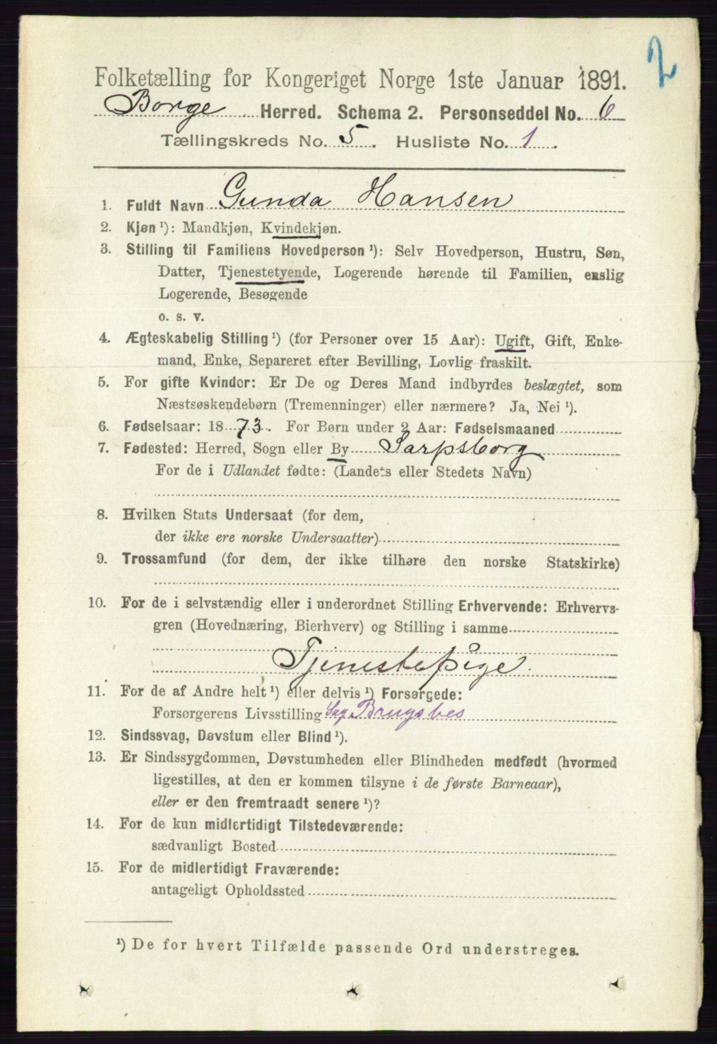 RA, 1891 census for 0113 Borge, 1891, p. 2391