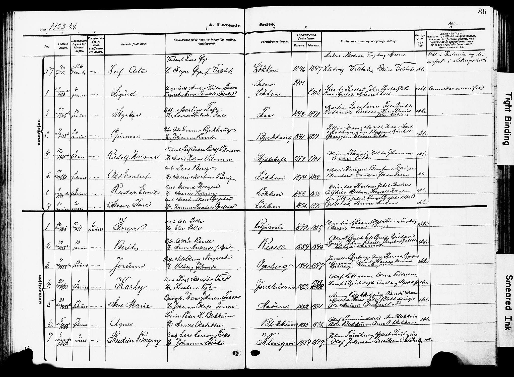 Ministerialprotokoller, klokkerbøker og fødselsregistre - Sør-Trøndelag, SAT/A-1456/672/L0865: Parish register (copy) no. 672C04, 1914-1928, p. 86