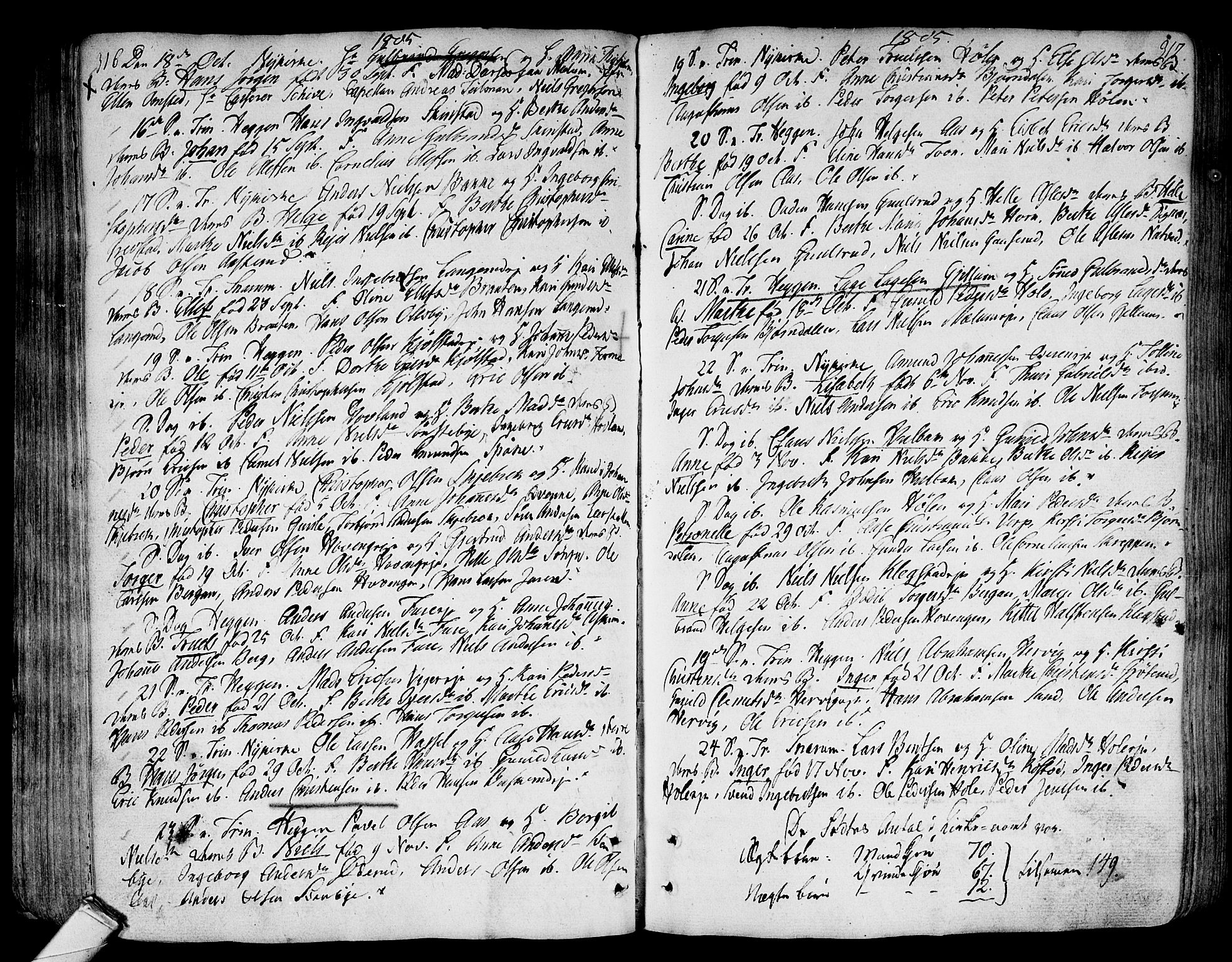 Modum kirkebøker, AV/SAKO-A-234/F/Fa/L0003: Parish register (official) no. 3, 1783-1819, p. 316-317