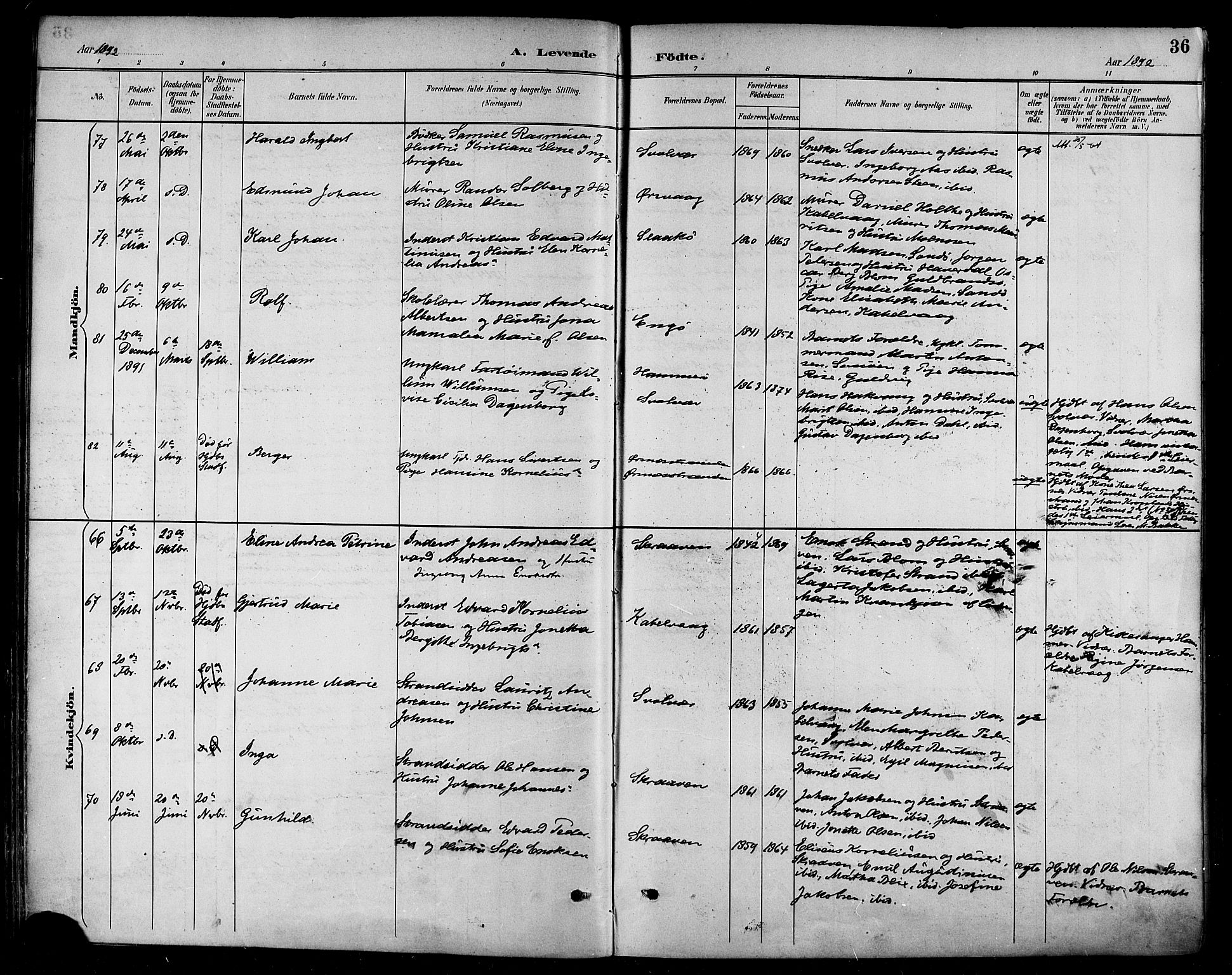 Ministerialprotokoller, klokkerbøker og fødselsregistre - Nordland, AV/SAT-A-1459/874/L1060: Parish register (official) no. 874A04, 1890-1899, p. 36