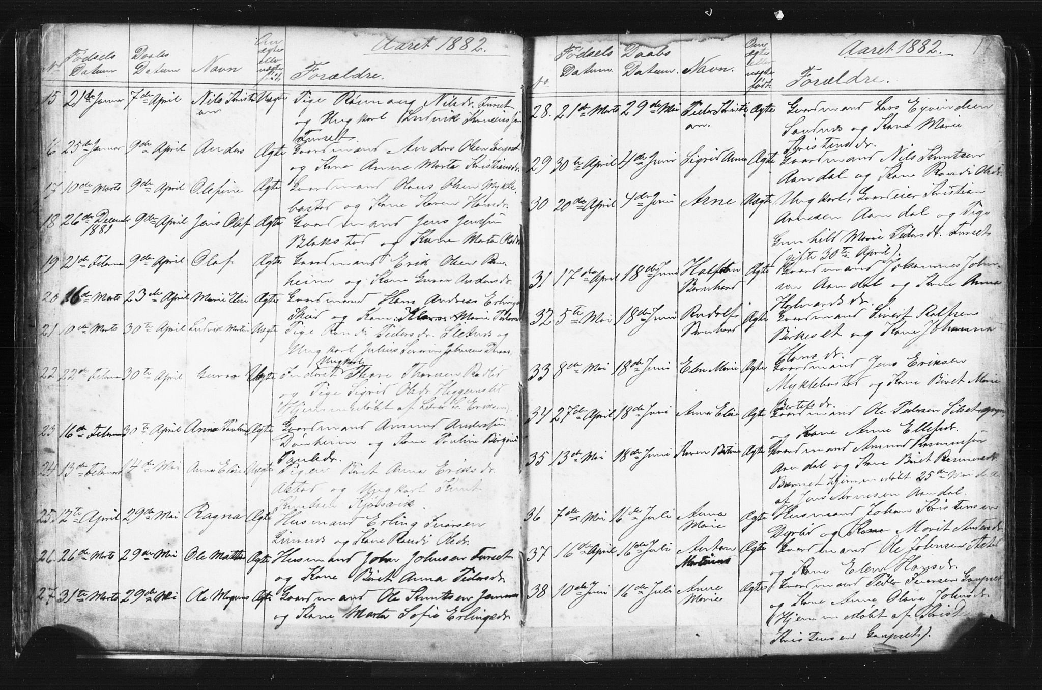 Ministerialprotokoller, klokkerbøker og fødselsregistre - Møre og Romsdal, AV/SAT-A-1454/584/L0969: Parish register (copy) no. 584C02, 1877-1911, p. 17