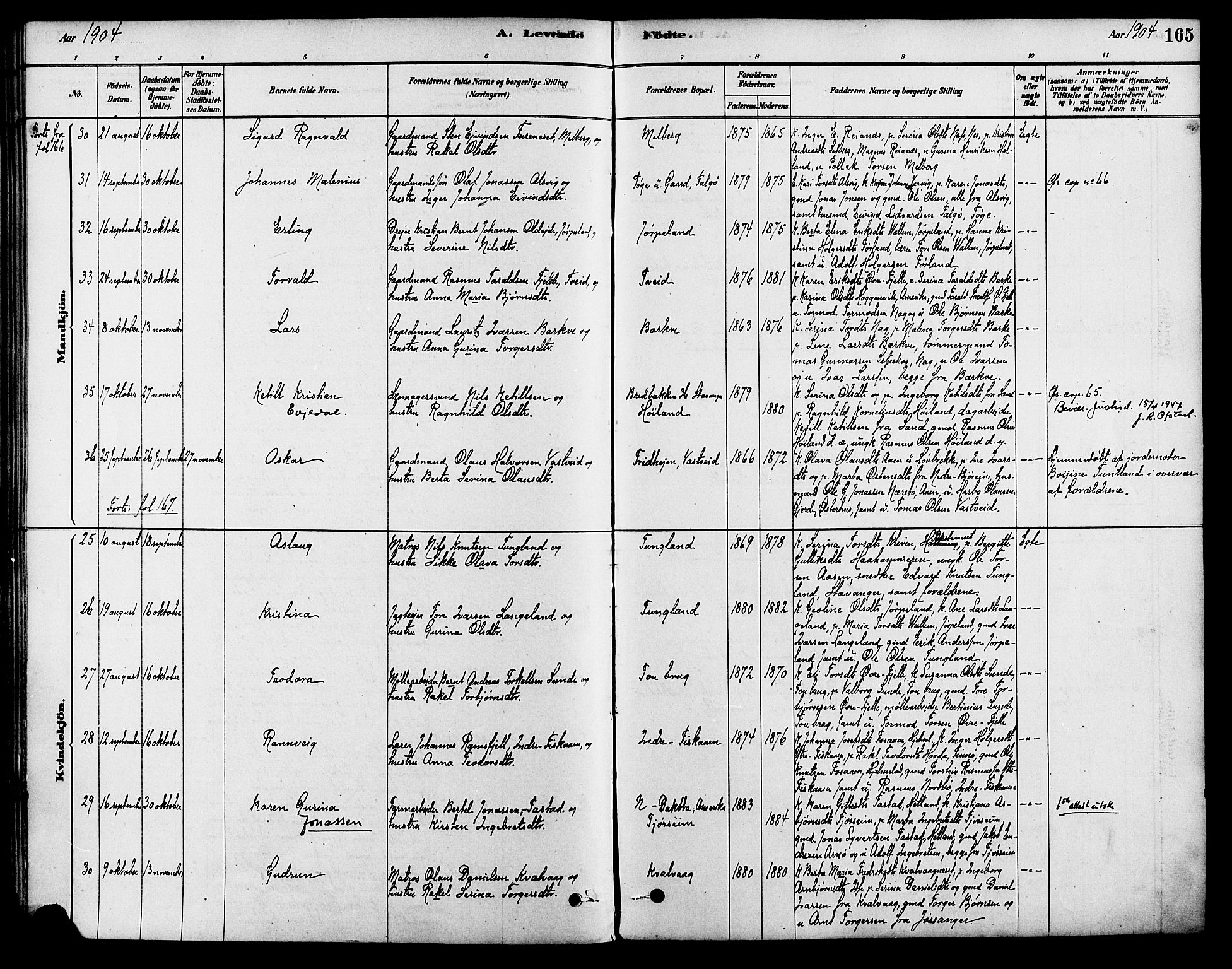 Strand sokneprestkontor, AV/SAST-A-101828/H/Ha/Haa/L0009: Parish register (official) no. A 9, 1877-1908, p. 165