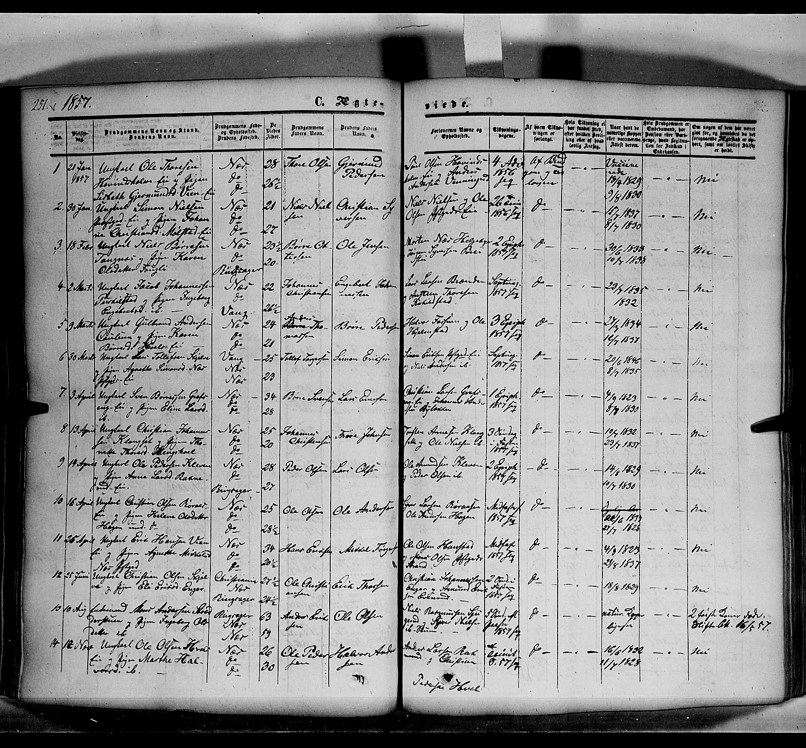 Nes prestekontor, Hedmark, SAH/PREST-020/K/Ka/L0004: Parish register (official) no. 4, 1852-1886, p. 251