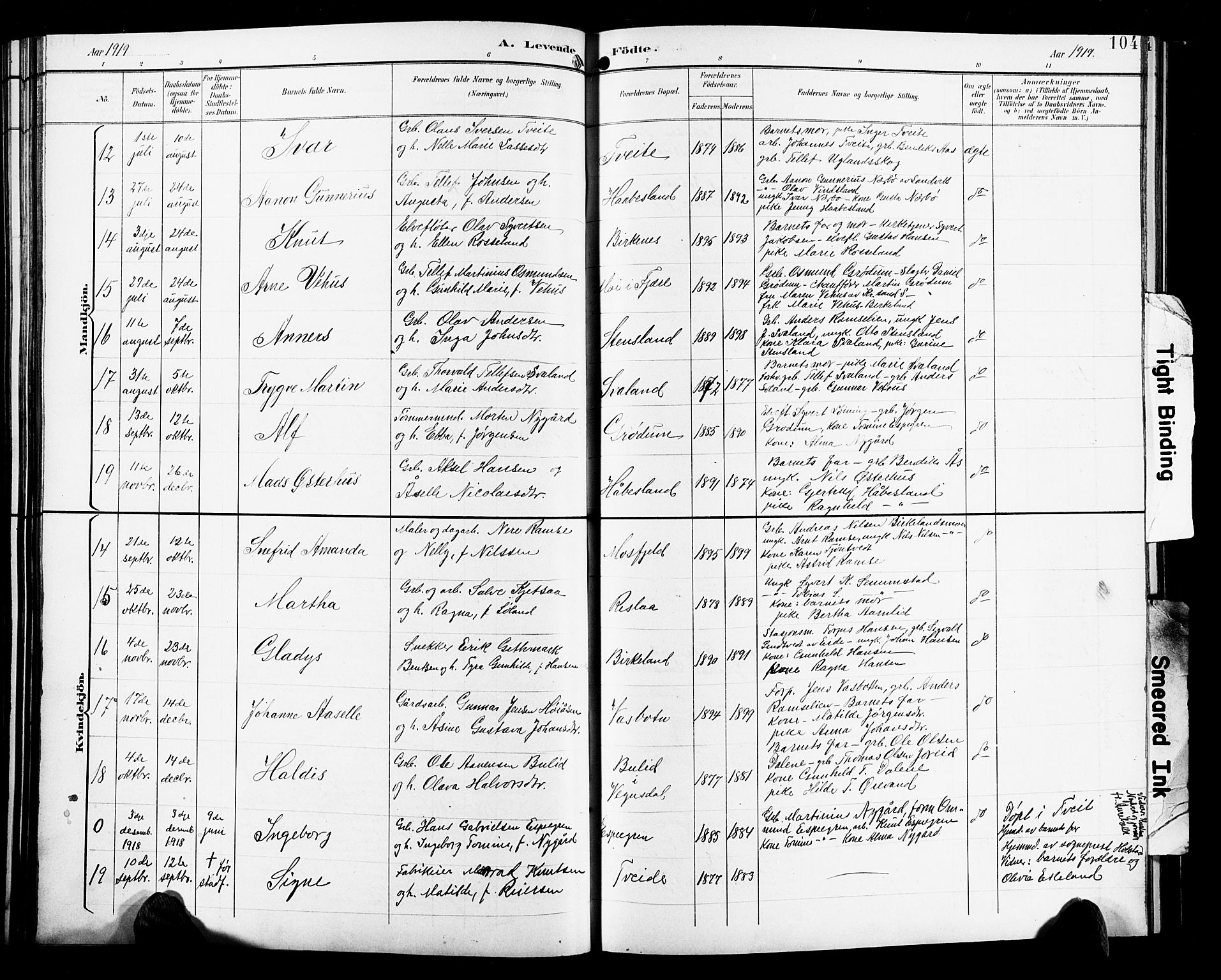 Birkenes sokneprestkontor, SAK/1111-0004/F/Fb/L0004: Parish register (copy) no. B 4, 1893-1930, p. 104