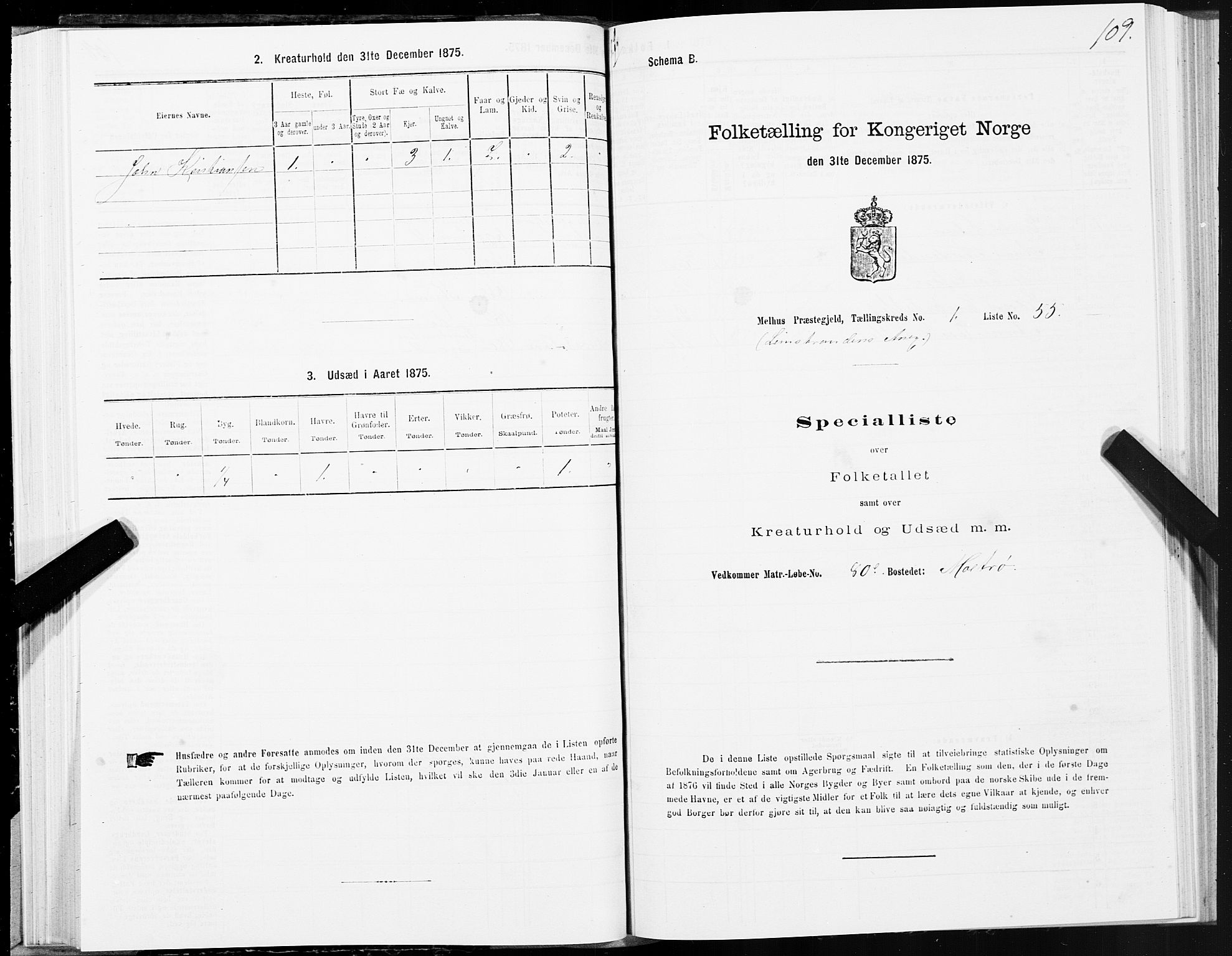 SAT, 1875 census for 1653P Melhus, 1875, p. 8109