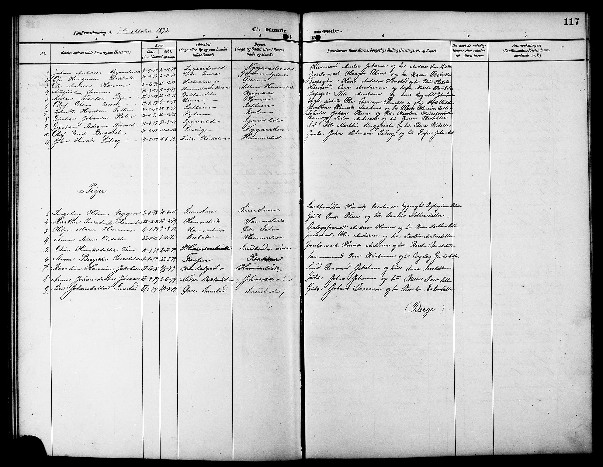 Ministerialprotokoller, klokkerbøker og fødselsregistre - Sør-Trøndelag, SAT/A-1456/617/L0431: Parish register (copy) no. 617C01, 1889-1910, p. 117