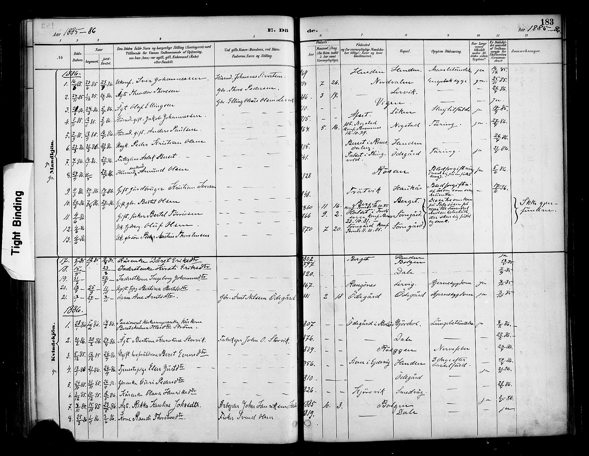 Ministerialprotokoller, klokkerbøker og fødselsregistre - Møre og Romsdal, SAT/A-1454/569/L0819: Parish register (official) no. 569A05, 1885-1899, p. 183