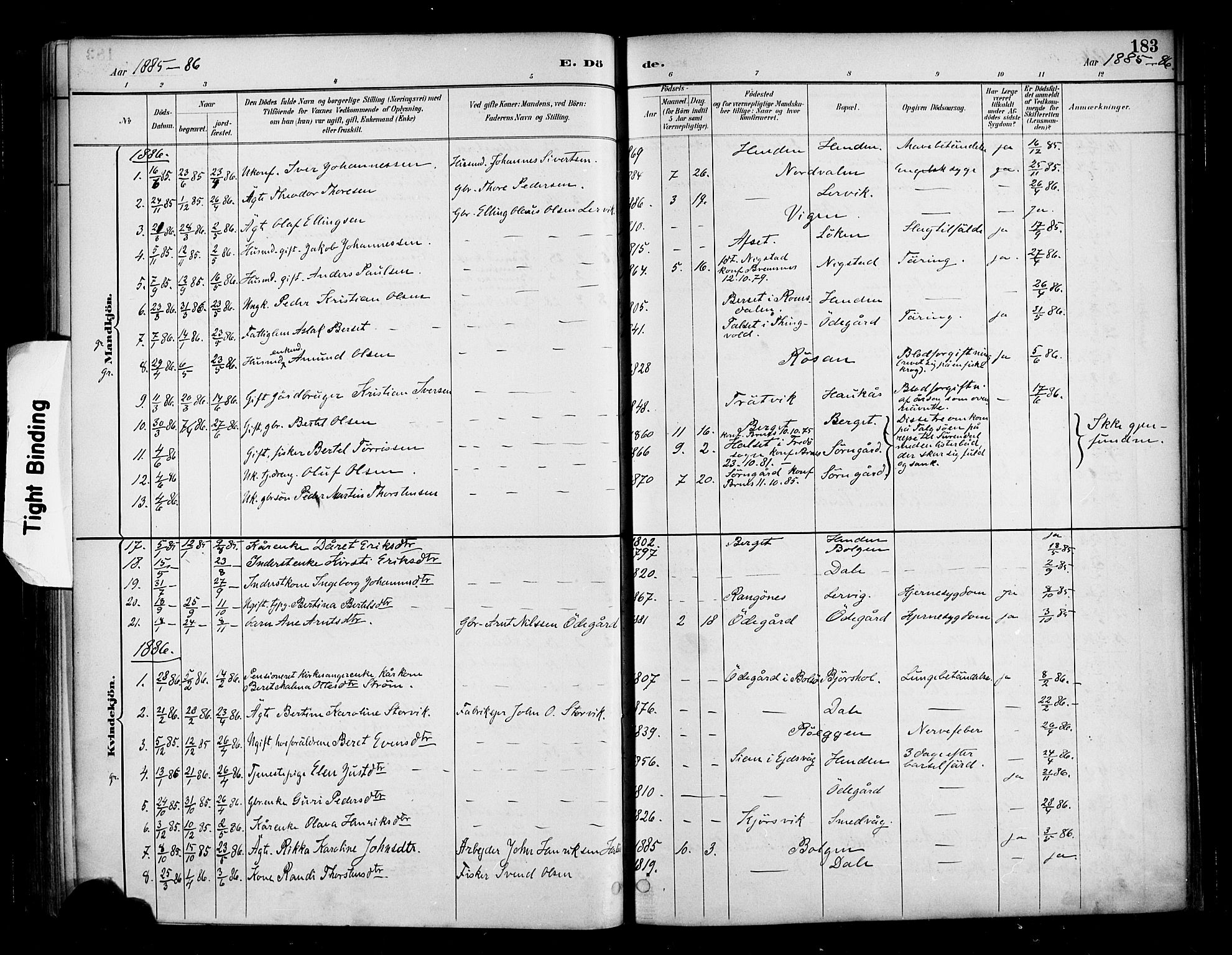 Ministerialprotokoller, klokkerbøker og fødselsregistre - Møre og Romsdal, AV/SAT-A-1454/569/L0819: Parish register (official) no. 569A05, 1885-1899, p. 183