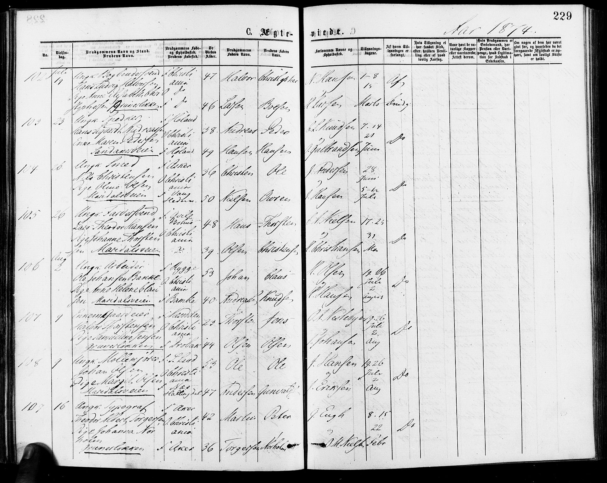 Gamle Aker prestekontor Kirkebøker, SAO/A-10617a/F/L0005: Parish register (official) no. 5, 1873-1881, p. 229
