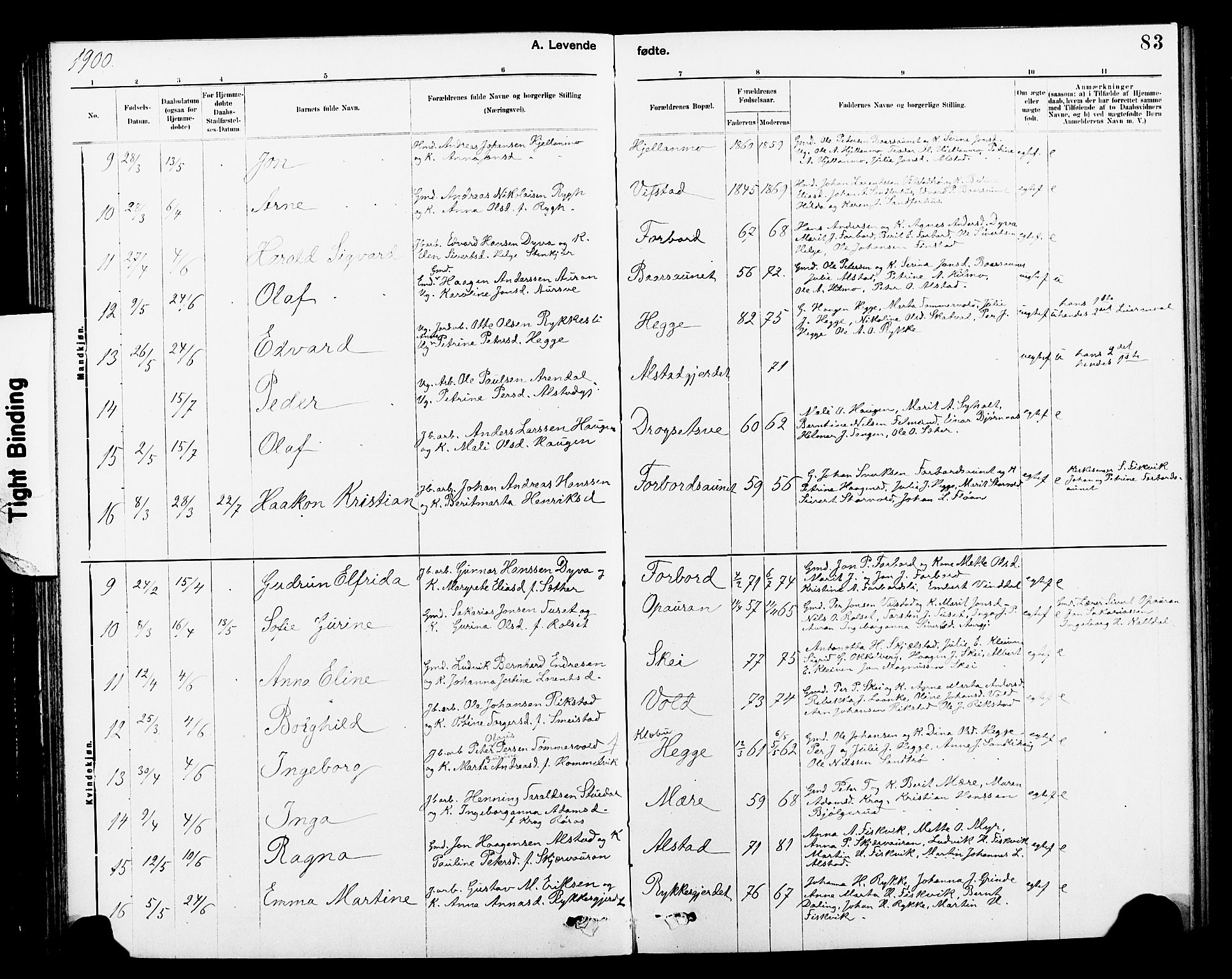 Ministerialprotokoller, klokkerbøker og fødselsregistre - Nord-Trøndelag, SAT/A-1458/712/L0103: Parish register (copy) no. 712C01, 1878-1917, p. 83