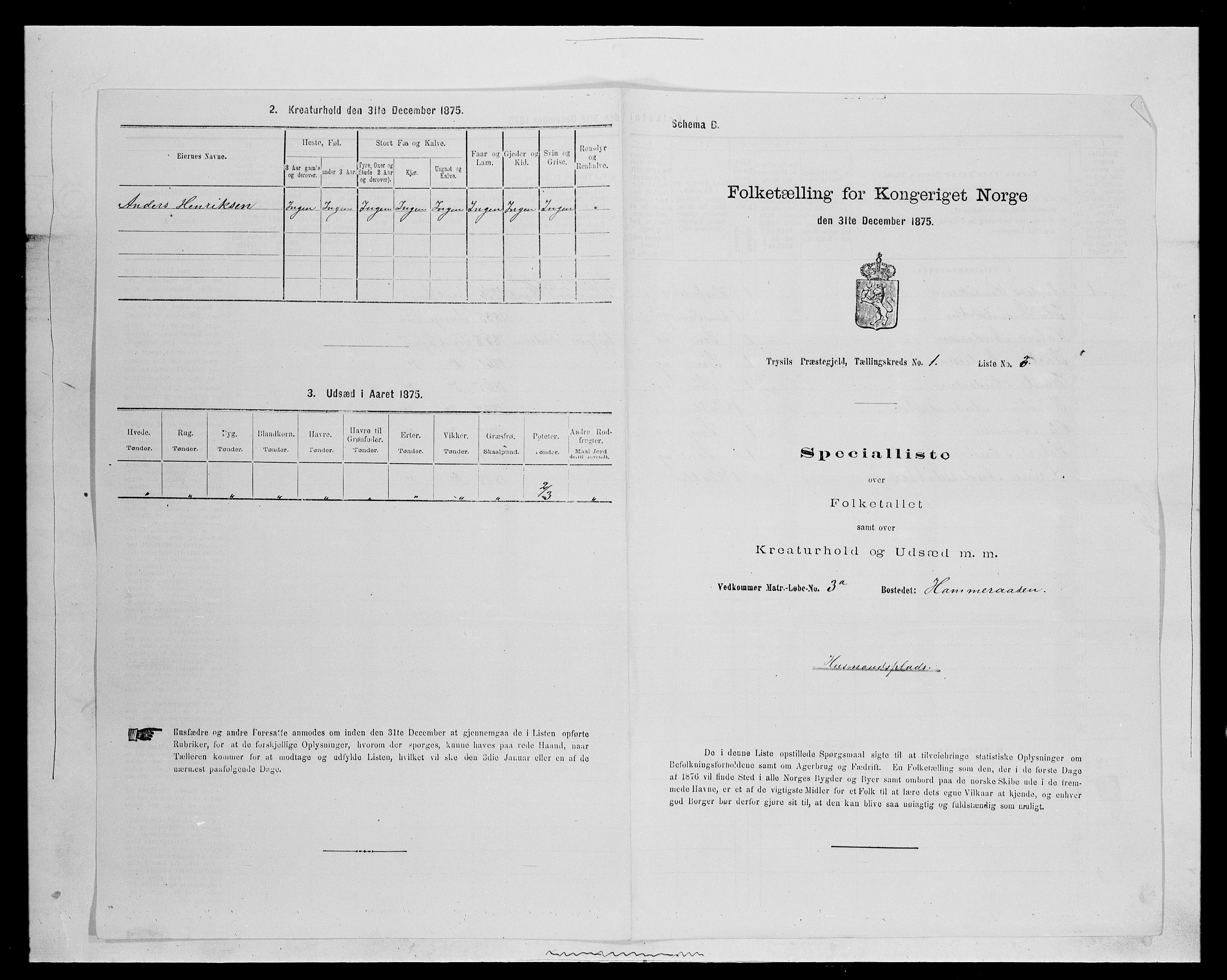 SAH, 1875 census for 0428P Trysil, 1875, p. 129