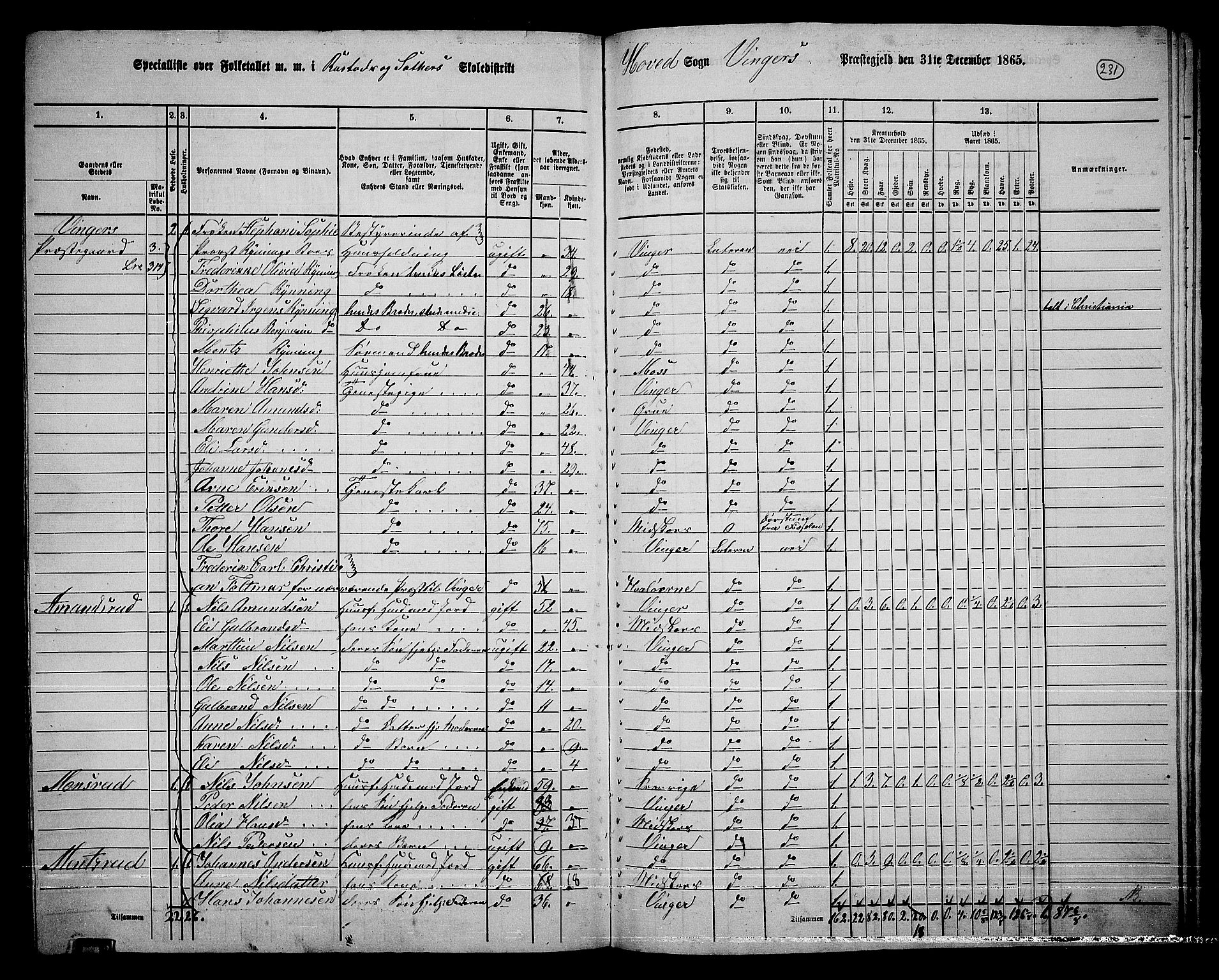 RA, 1865 census for Vinger/Vinger og Austmarka, 1865, p. 211